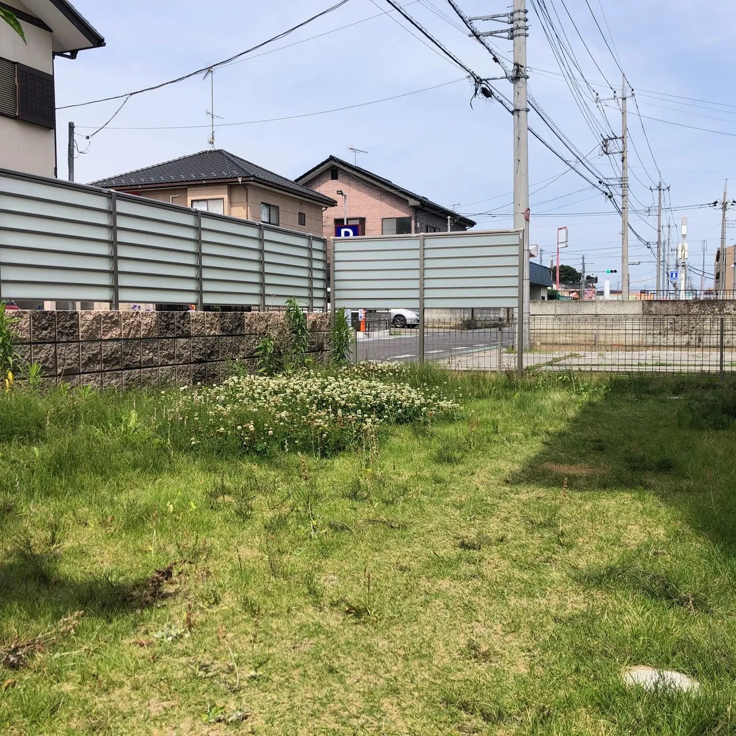 新築のお家に広がるきれいな芝生のお庭🌿。