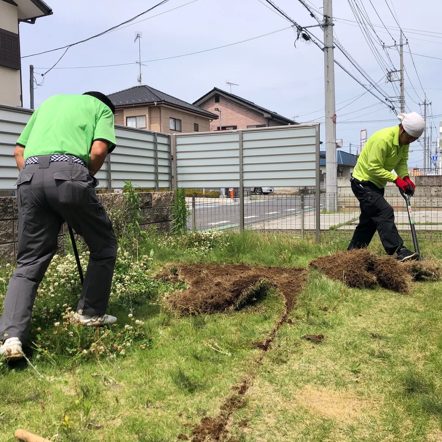 芝生を剥がしていきます。