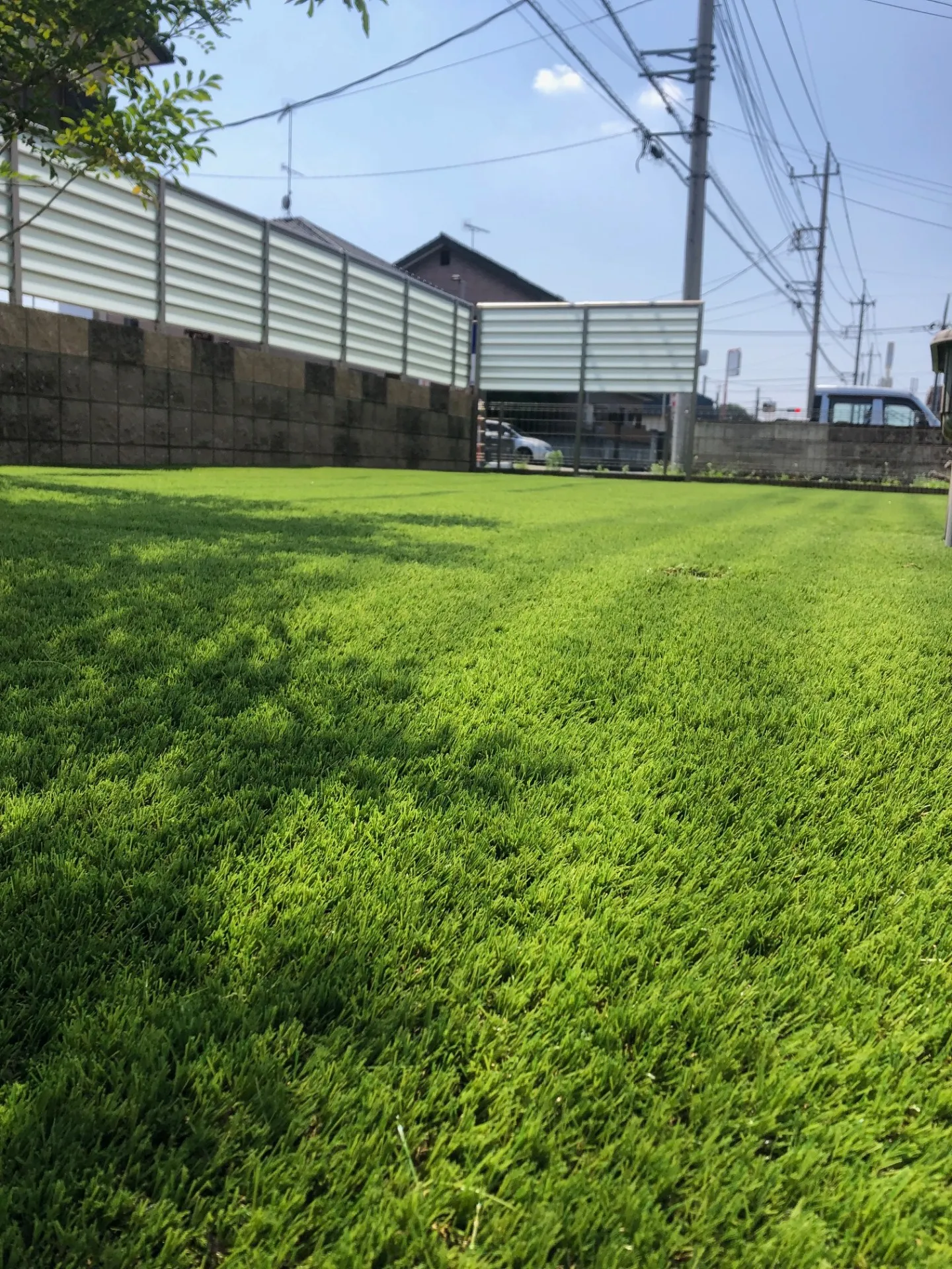 晴れた日はより鮮やかなグリーンの人工芝