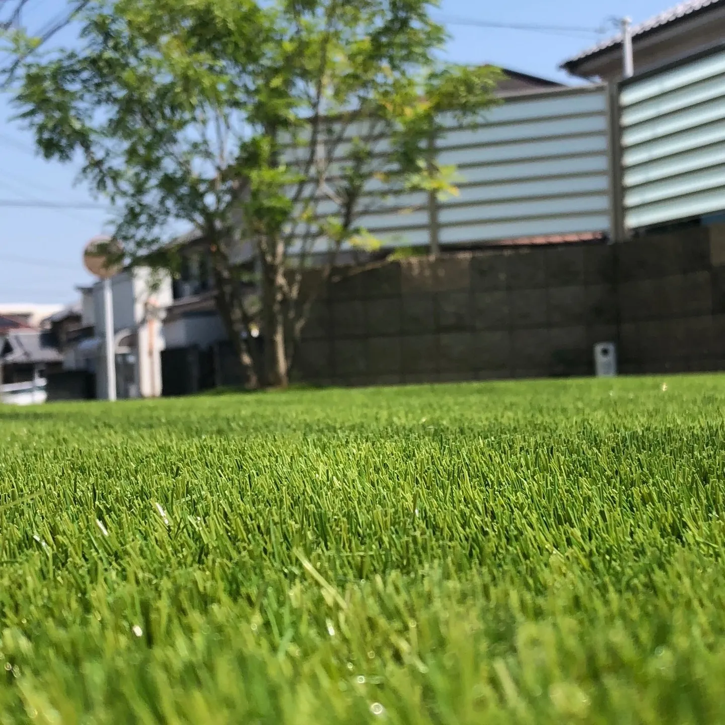 人工芝の魅力の一つは、天候に左右されず一年中美しいグリーンを...