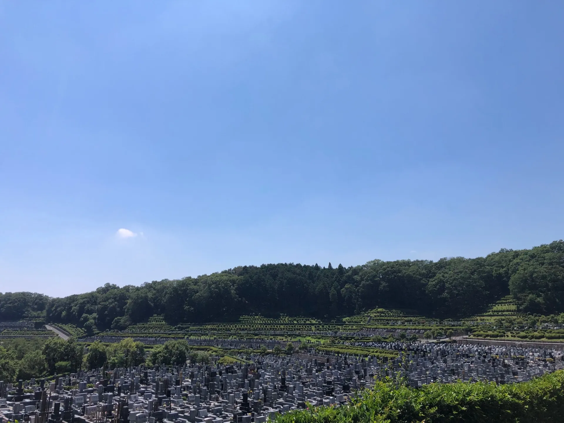 広大な敷地で環境のいい霊園でした