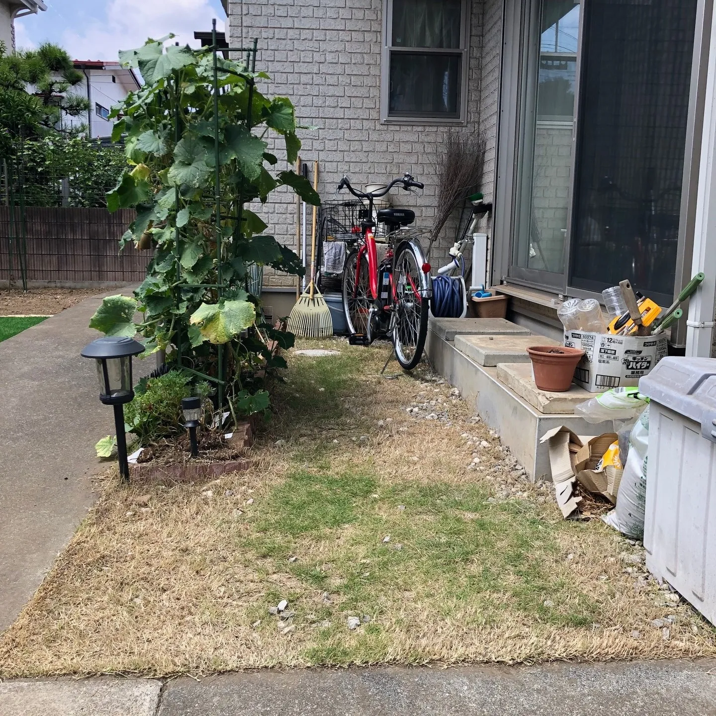 芝生と砂利が混ざったお庭