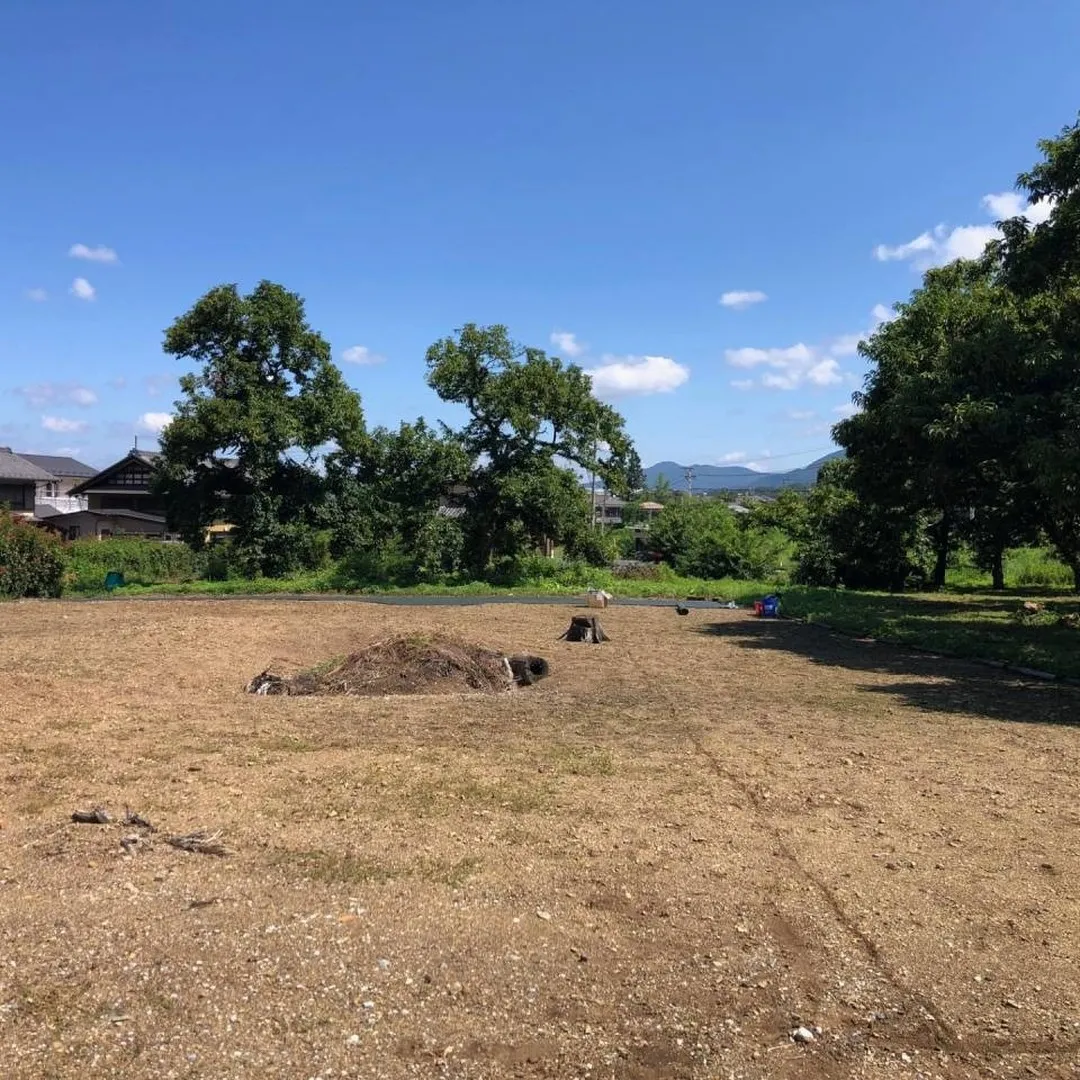 お庭の雑草にお困りの方🌱。