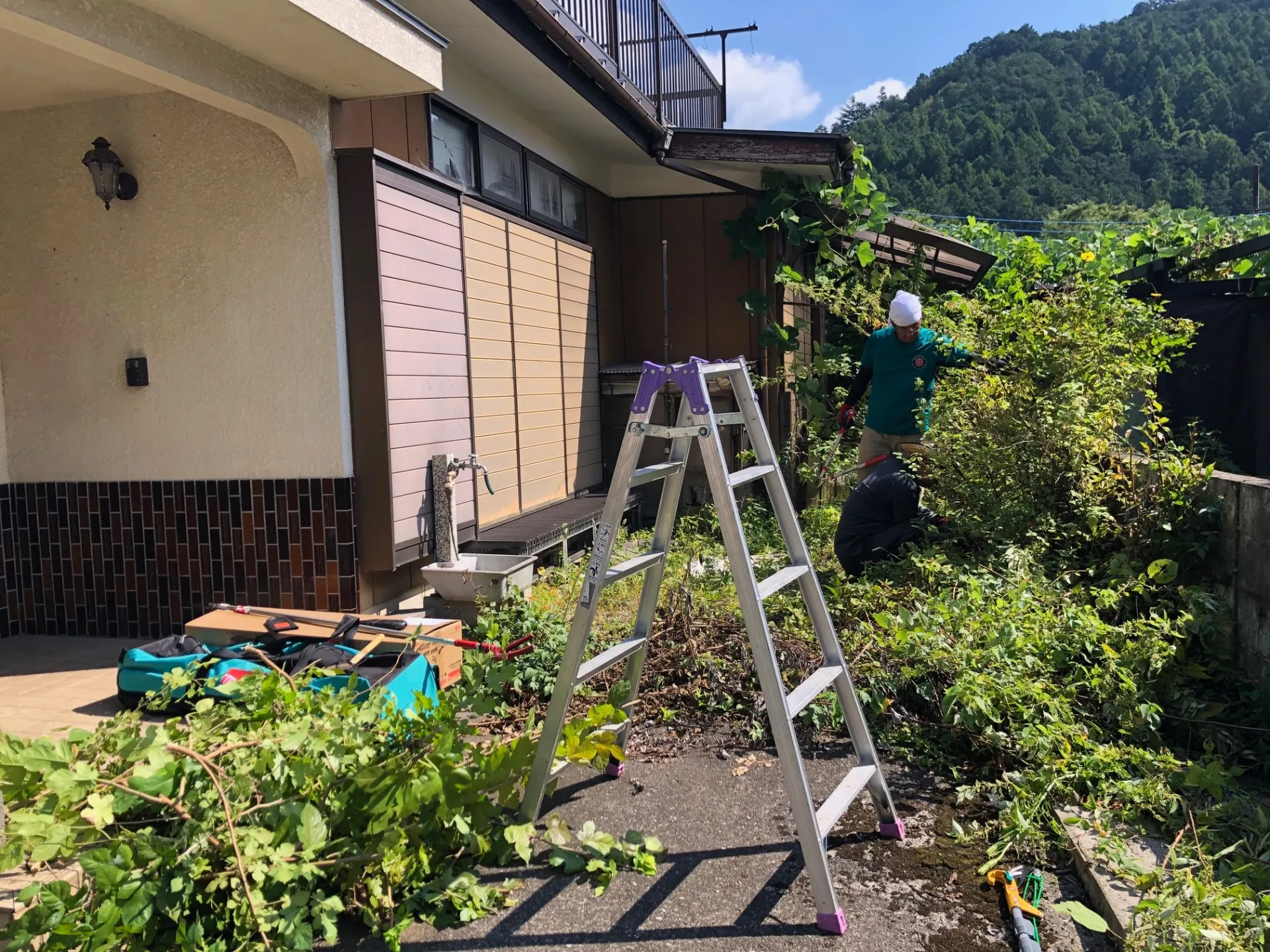 庭の雑草の草刈りと植木の伐採をご依頼いただきました。