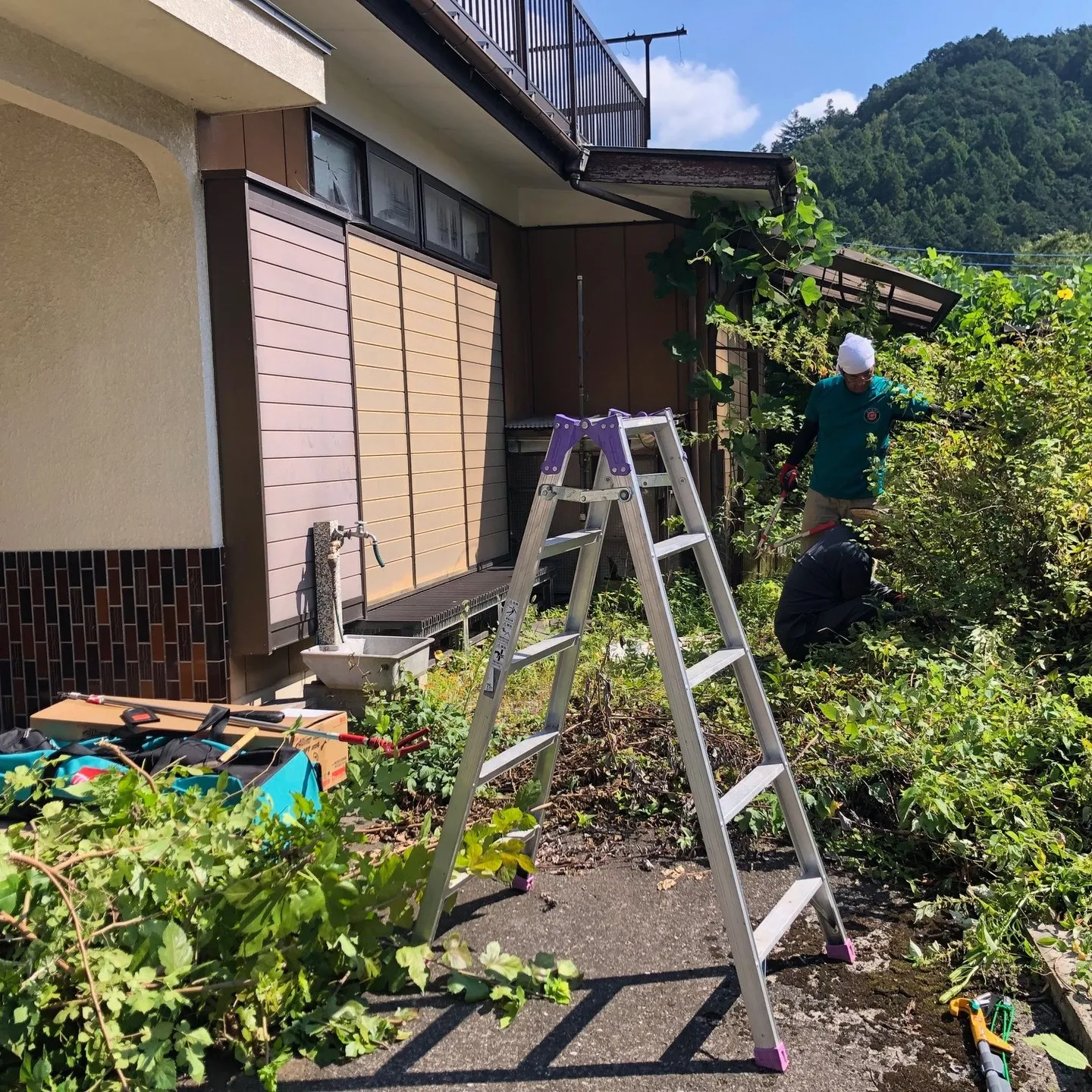 🌿🏡 庭の雑草や植木が伸びすぎて、自分ではどうしようもなくお...