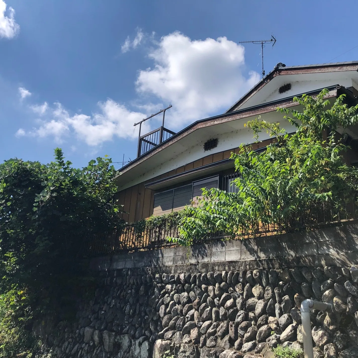 🌿🏡 庭の雑草や植木が伸びすぎて、自分ではどうしようもなくお...