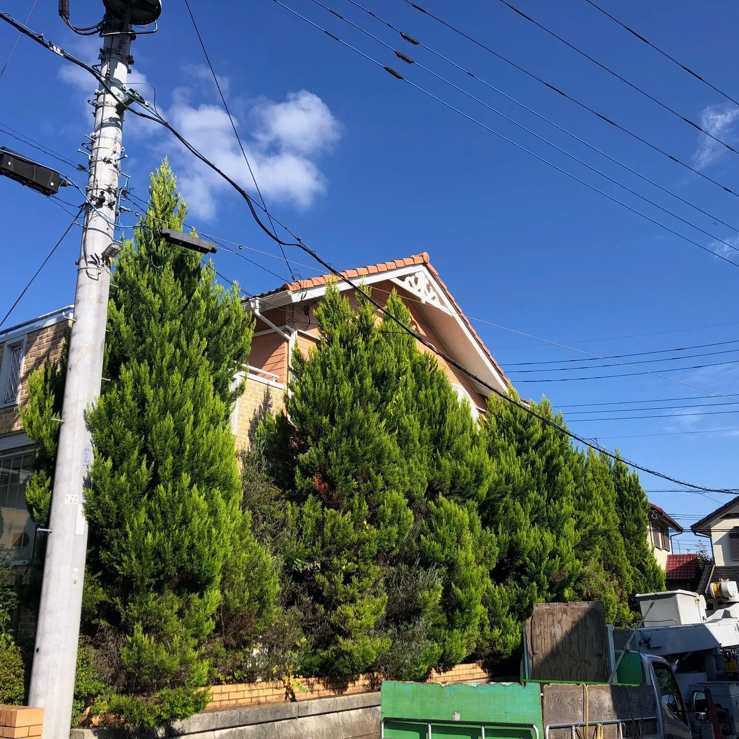 埼玉県日高市のお客様より庭木の剪定と人工芝施工のご依頼をいた...