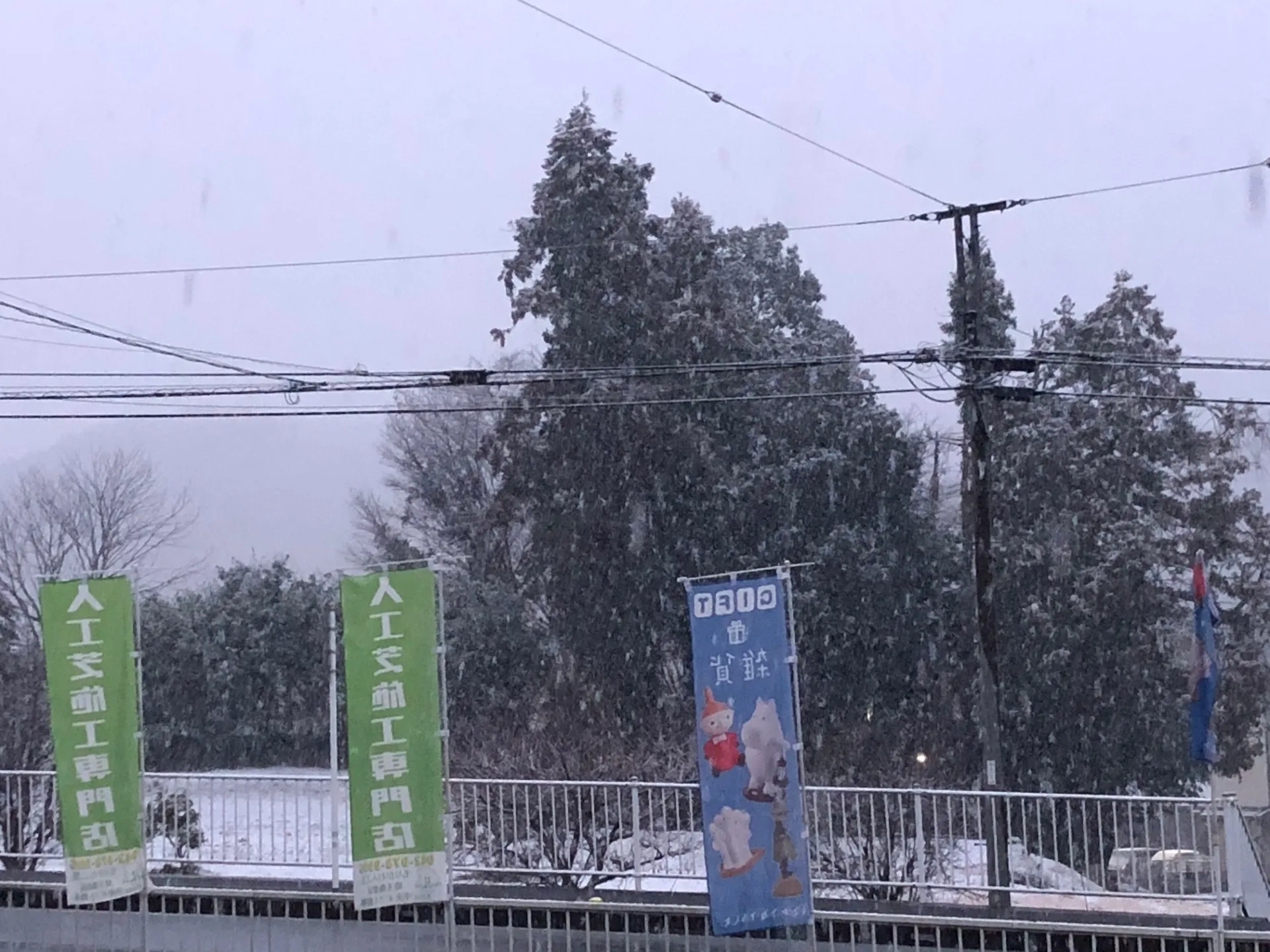 埼玉県でも久しぶりの雪です