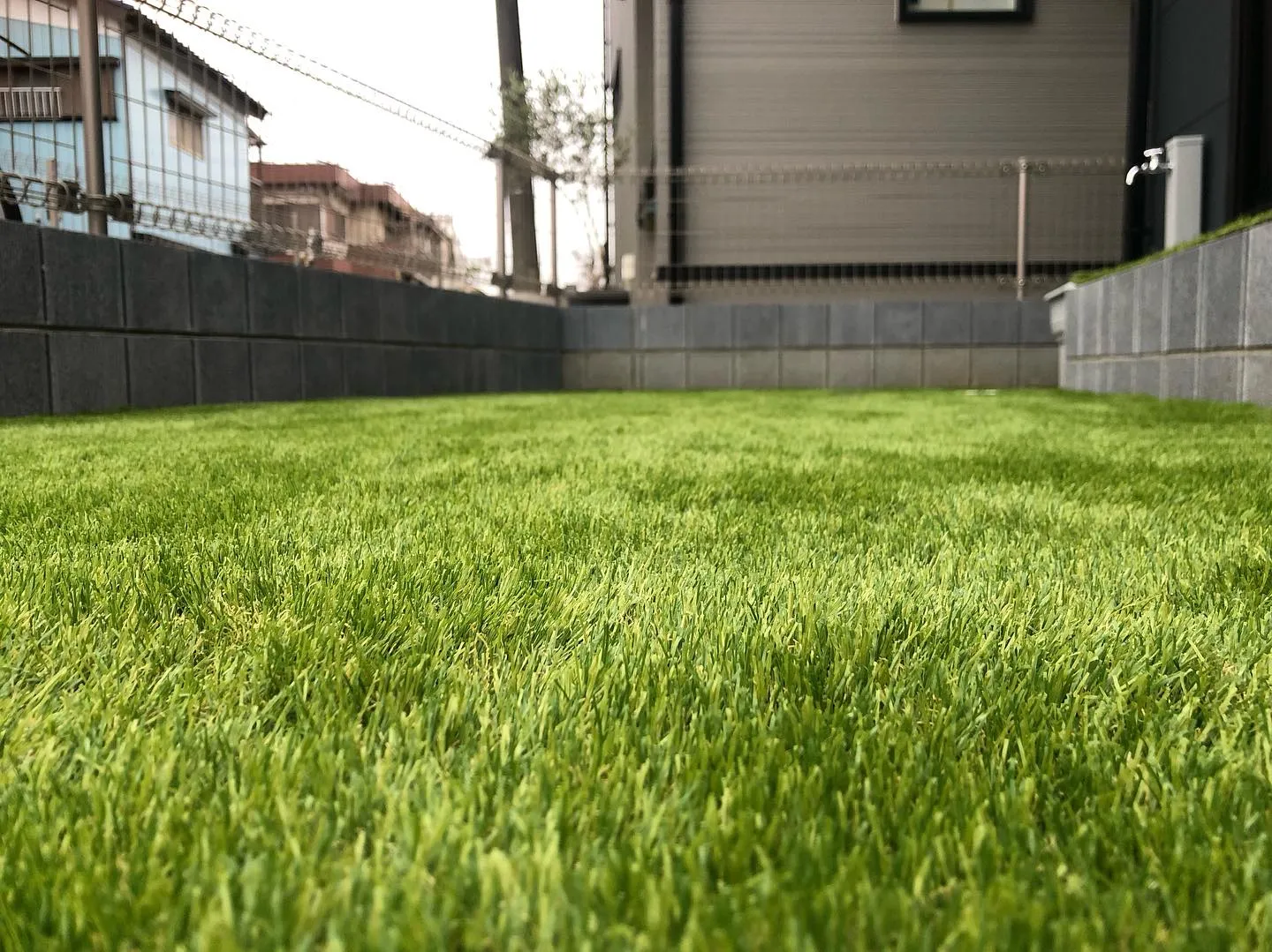人工芝をブラッシングして芝葉を起こしてあげます。