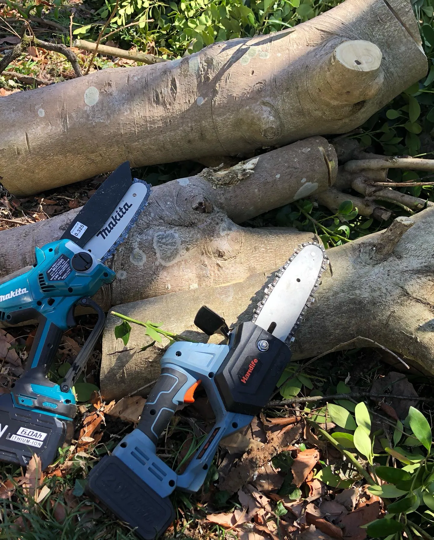 庭木の伐採業者をお探しの皆様へ🌳。