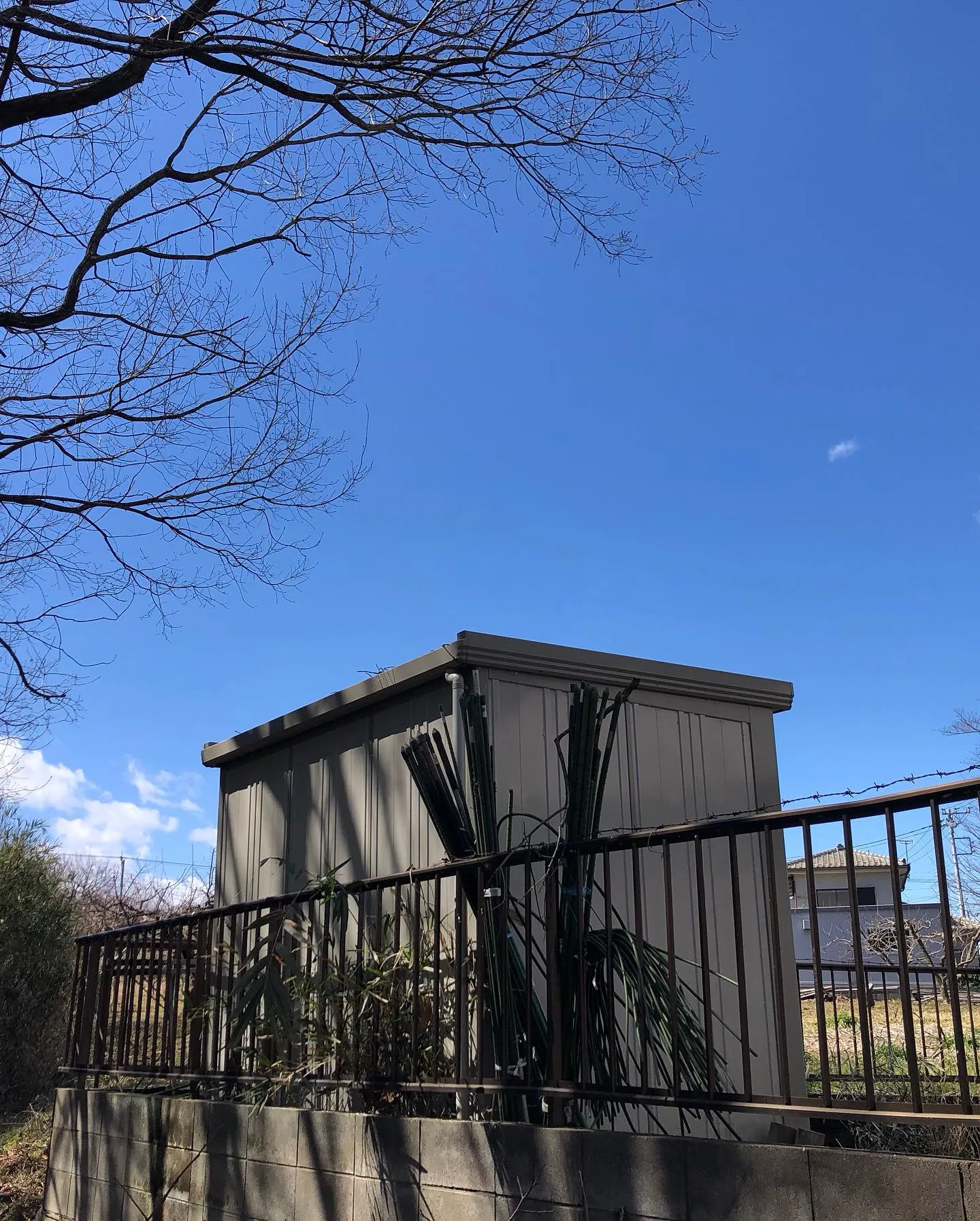 庭木の伐採業者をお探しの皆様へ🌳。