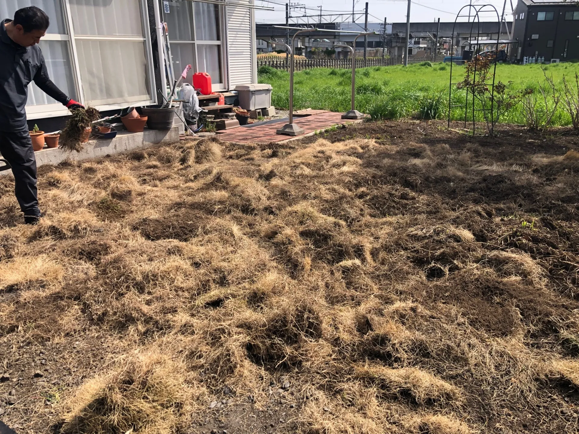 芝生を剥がしていきます。