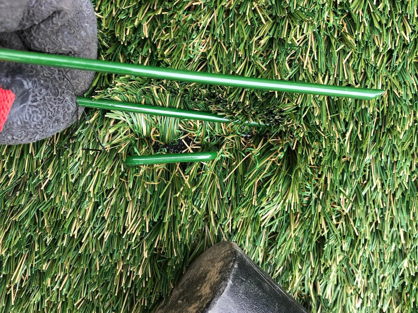 庭の手入れが大変な季節ですね🌿。