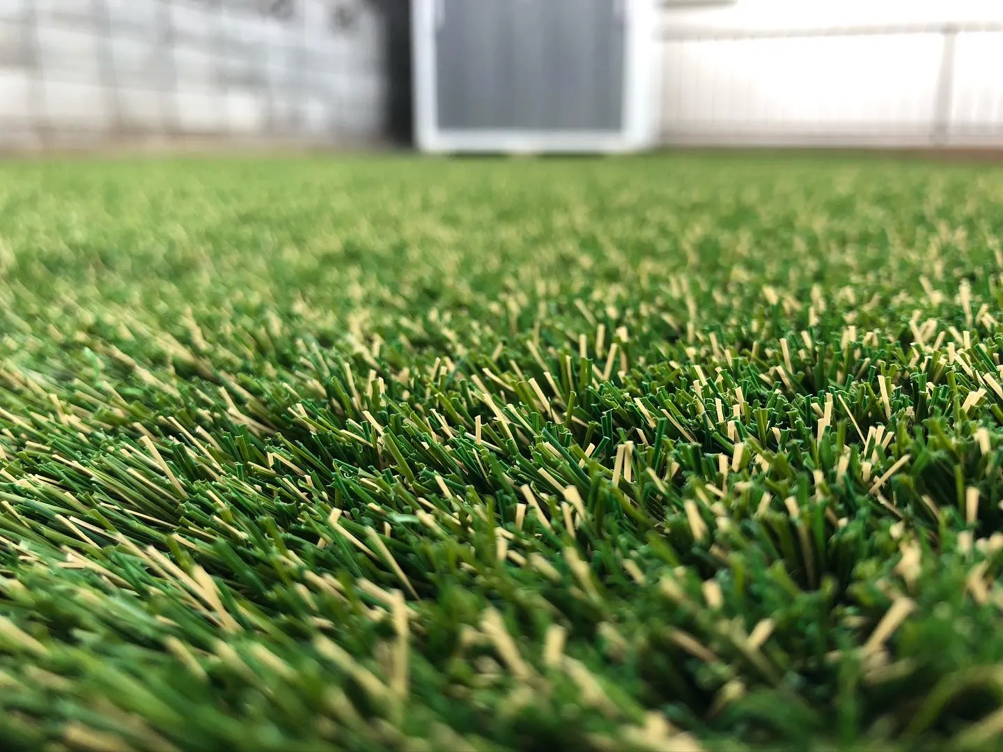 庭の手入れが大変な季節ですね🌿。