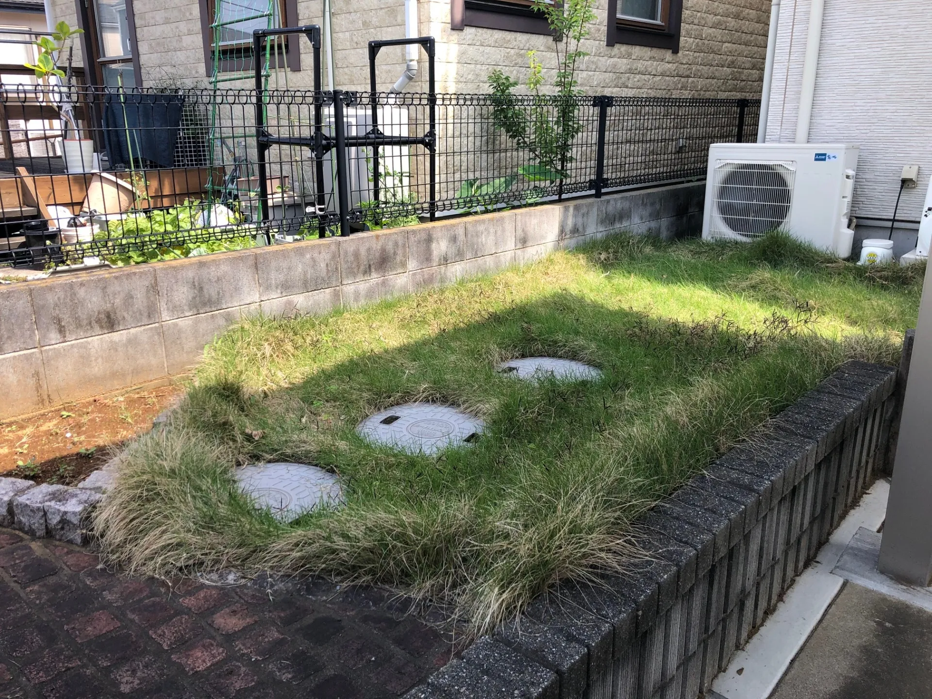 芝生もかなり伸びています。