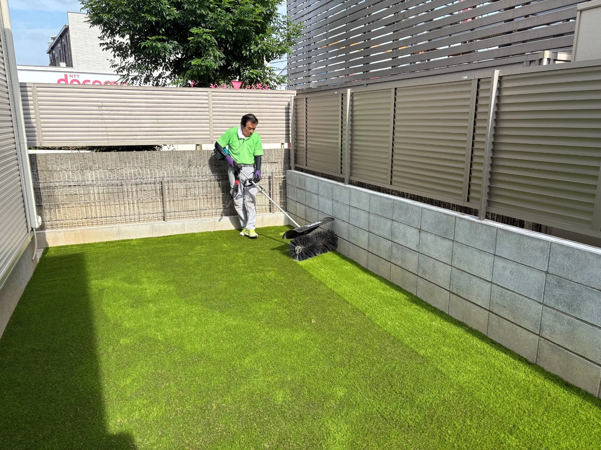 芝生をブラッシングして芝を起こします。