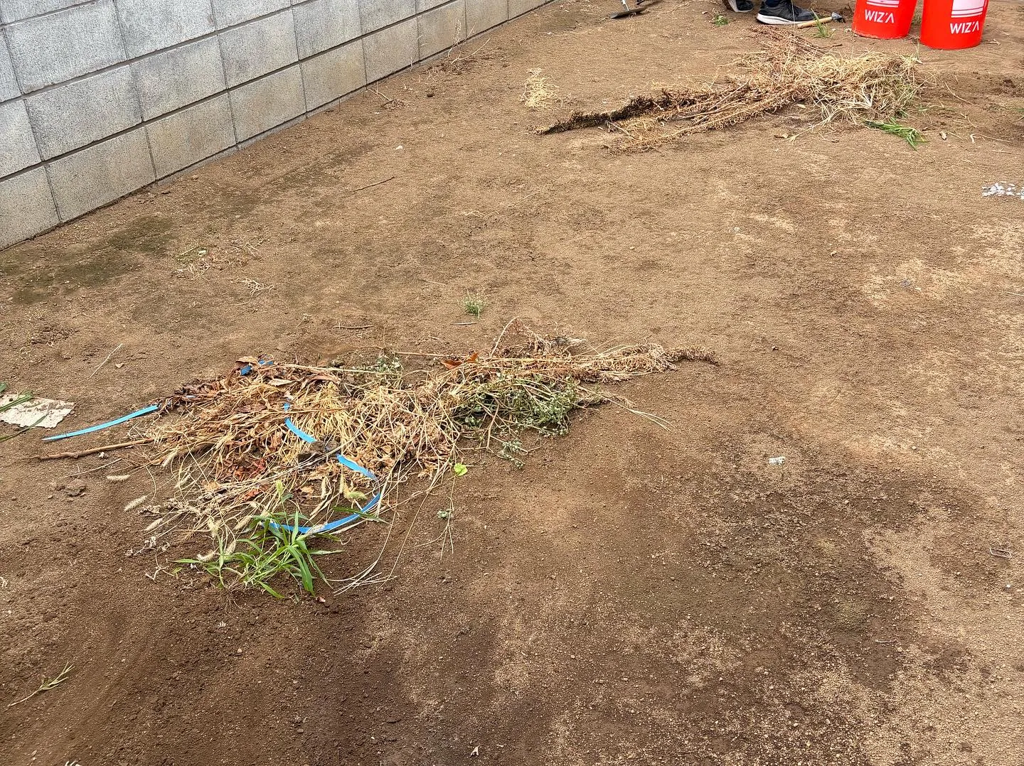 埼玉県所沢市の戸建て住宅のお庭に人工芝を施工させていただきま...