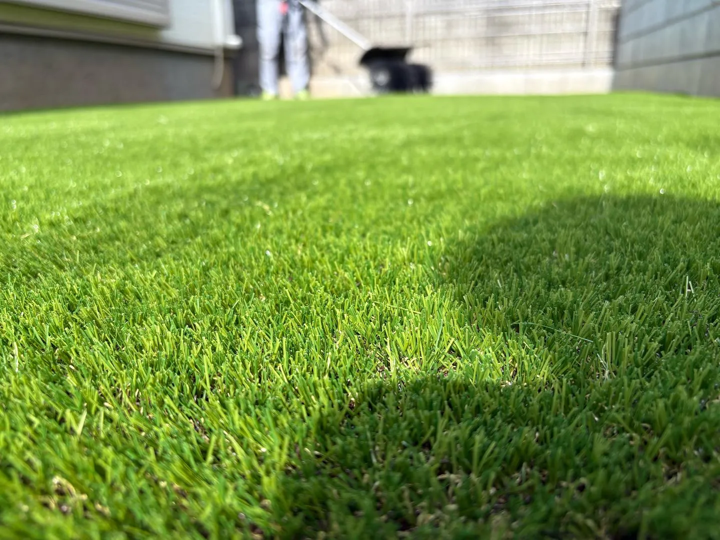埼玉県所沢市の戸建て住宅のお庭に人工芝を施工させていただきま...