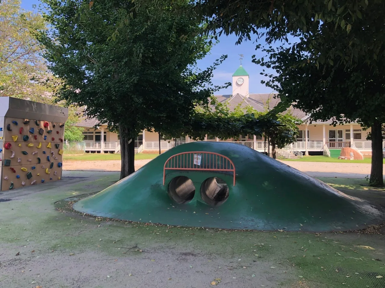 経年劣化による人工芝