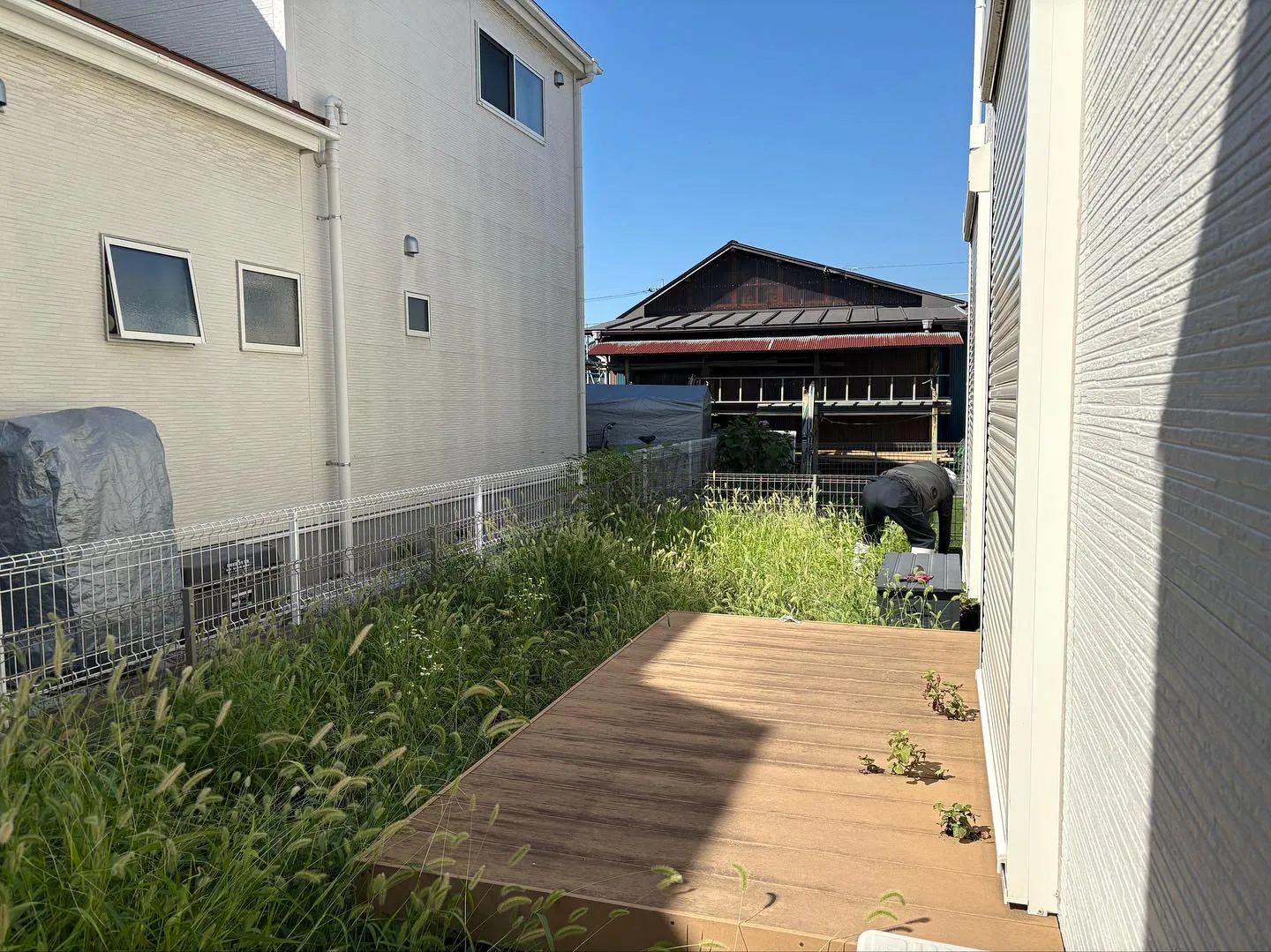 🌱雑草との戦い、もう終わりにしませんか？😅