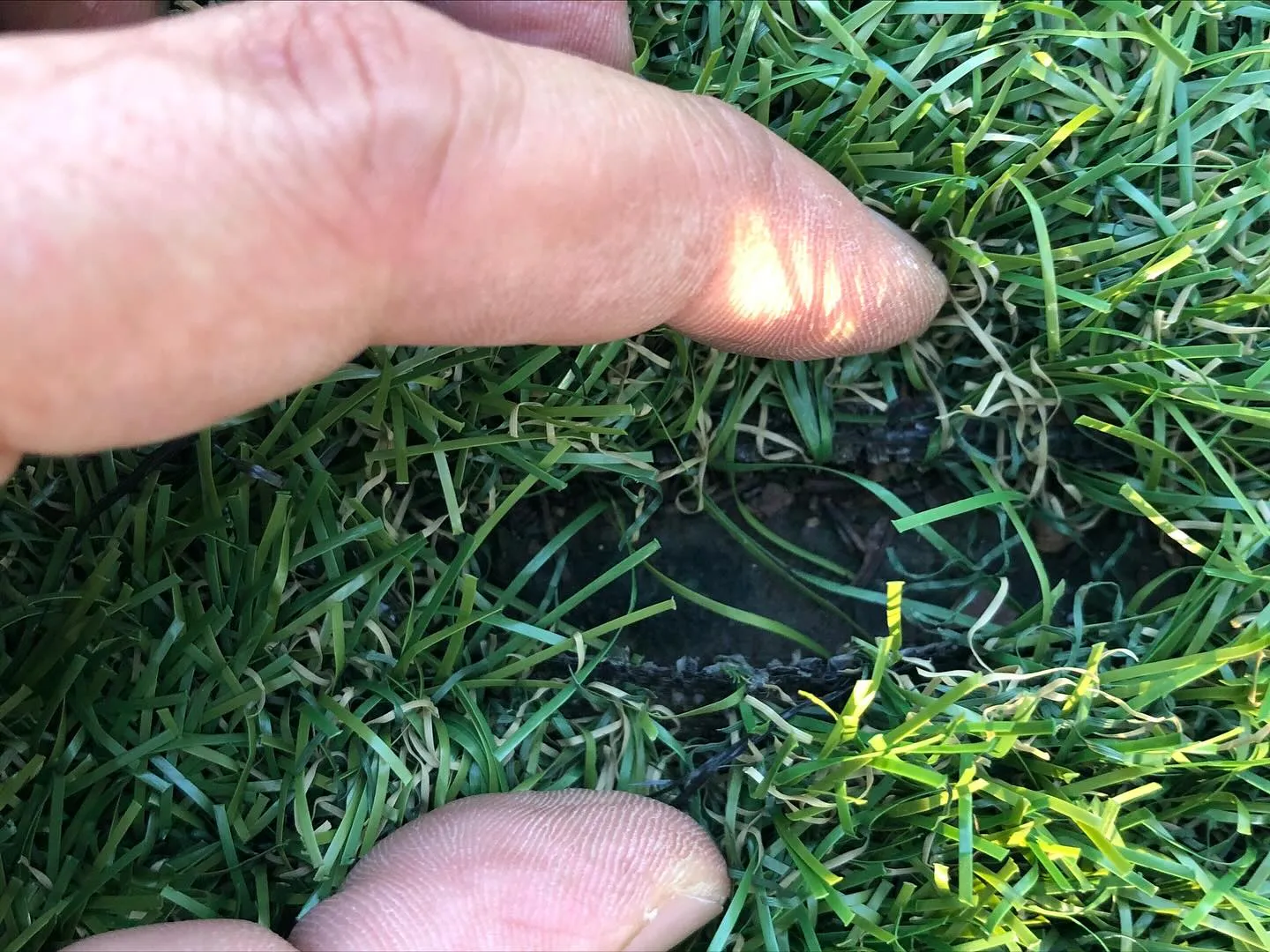 「他社施工の人工芝でもOK👷👌 プロ職人が丁寧に補修します🏡...