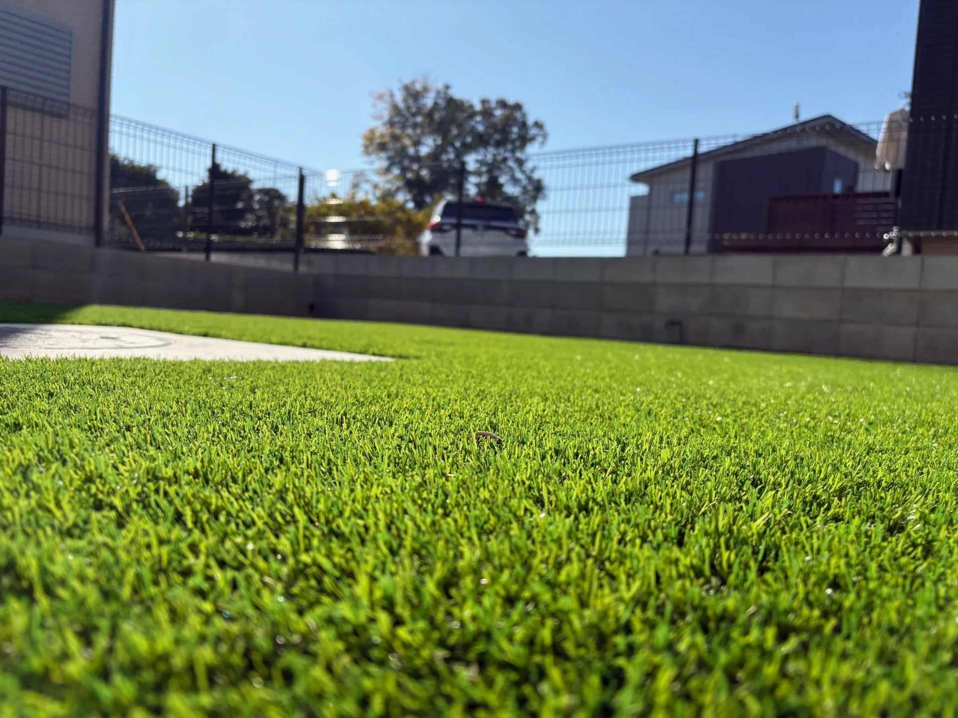 日が当たるとより鮮やかに輝く人工芝