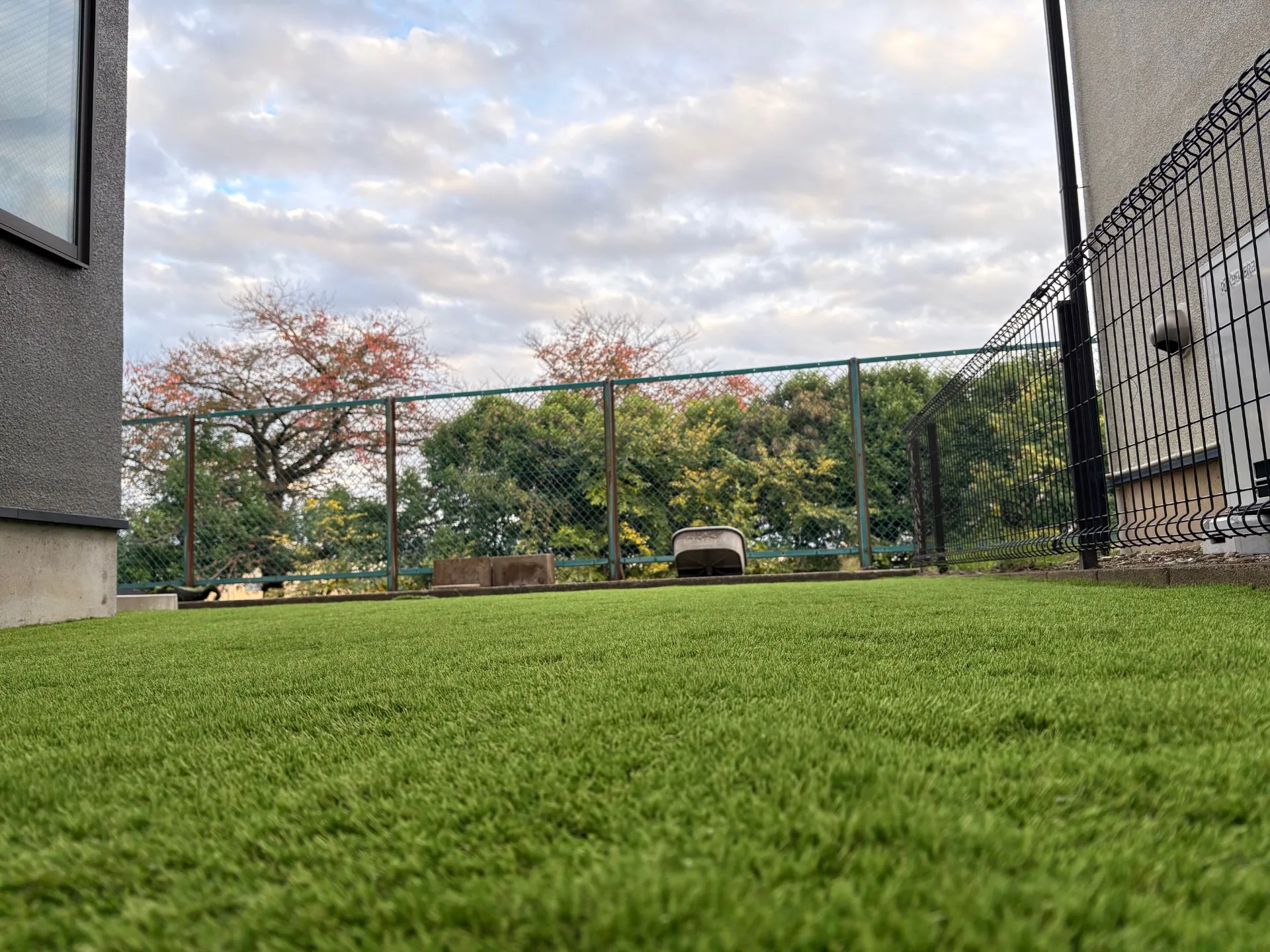 【雑草ゼロのドッグラン庭へ】東京都東村山市でふわふわ人工芝を施工しました！
