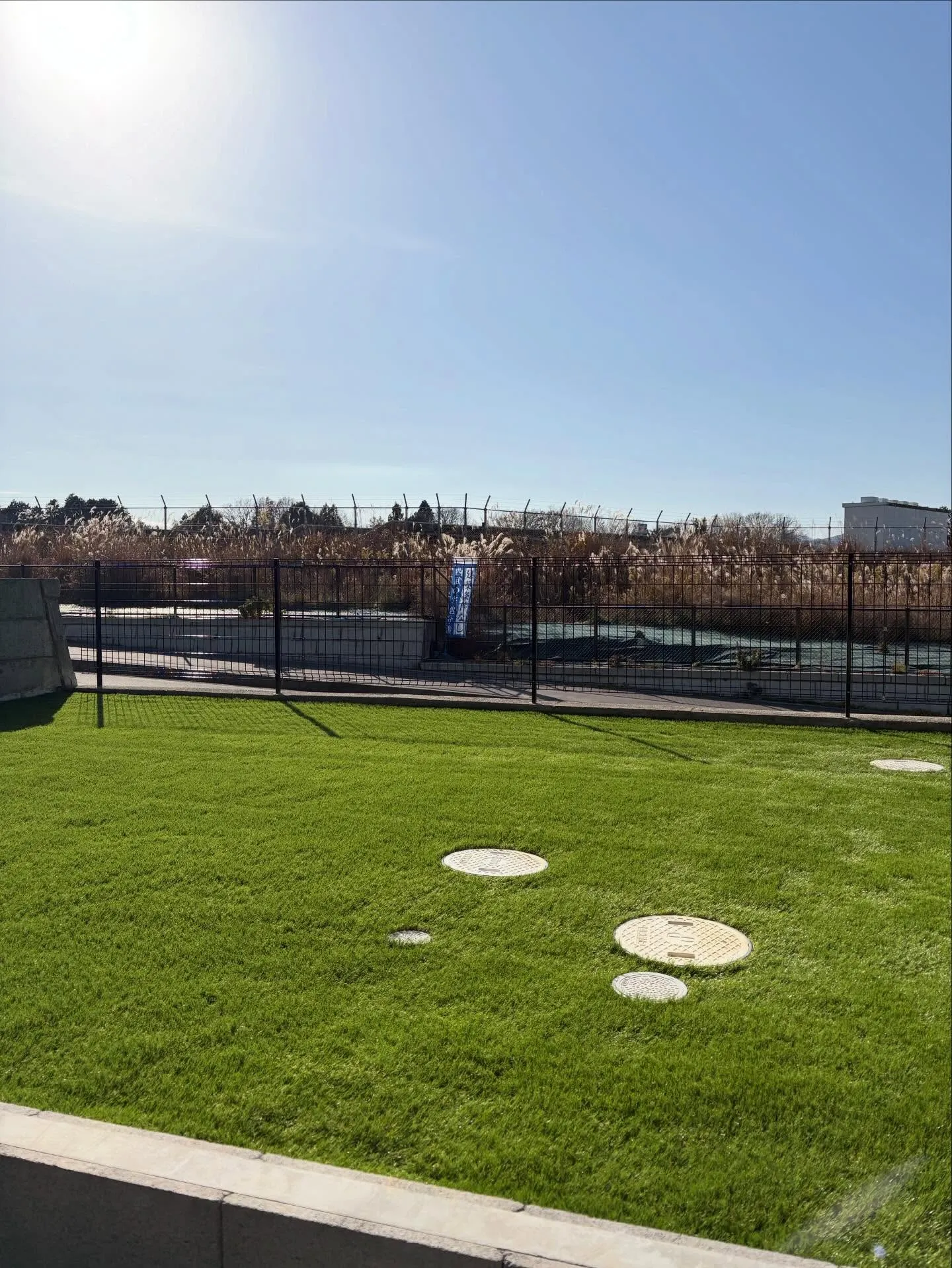 🏠おしゃれな外構は「人工芝」で完成 🌱🌱🌱✨