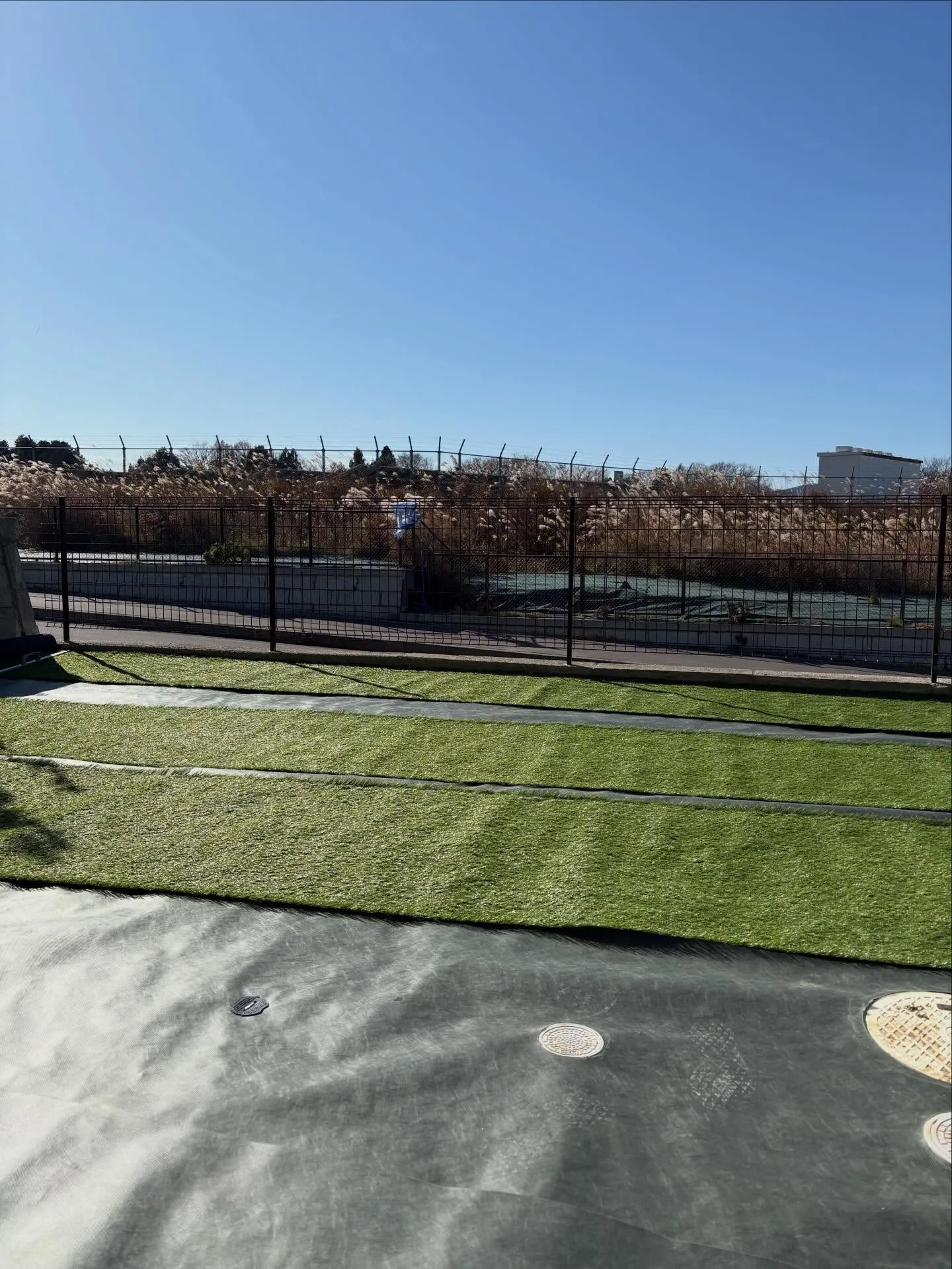 🏠おしゃれな外構は「人工芝」で完成 🌱🌱🌱✨