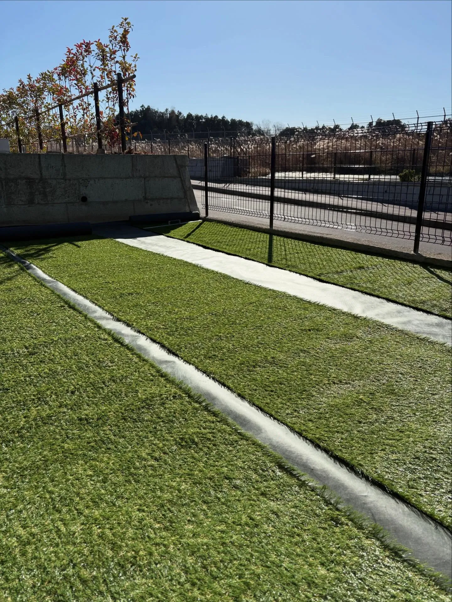 🏠おしゃれな外構は「人工芝」で完成 🌱🌱🌱✨