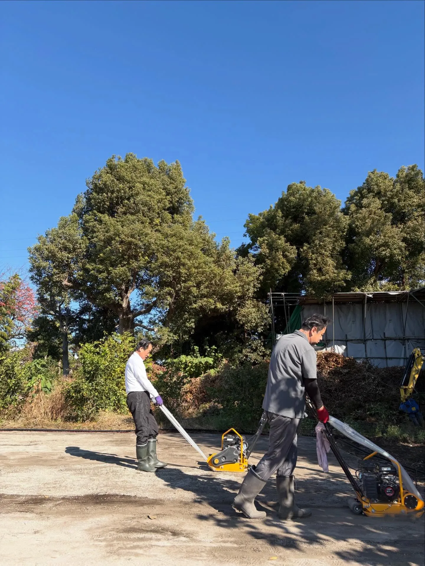 🌱【人工芝で暮らしが変わる】✨人工芝の子供の遊び場⚽️