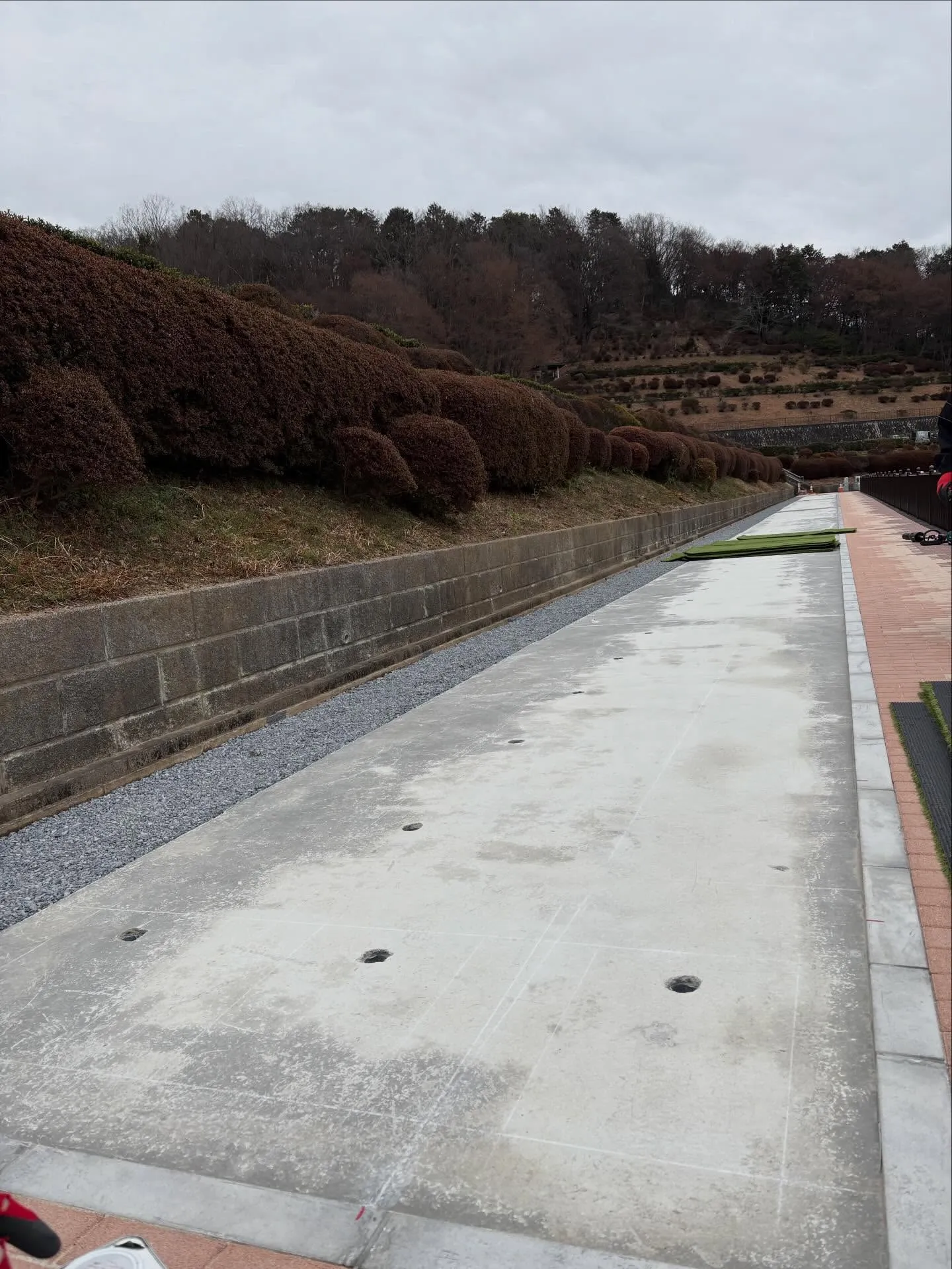 🎍✨ 新年あけましておめでとうございます ✨🎍