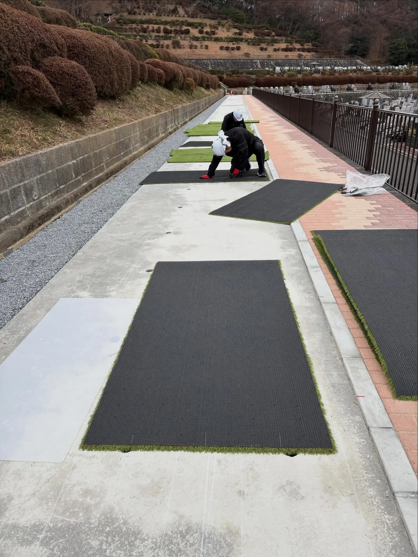 🎍✨ 新年あけましておめでとうございます ✨🎍