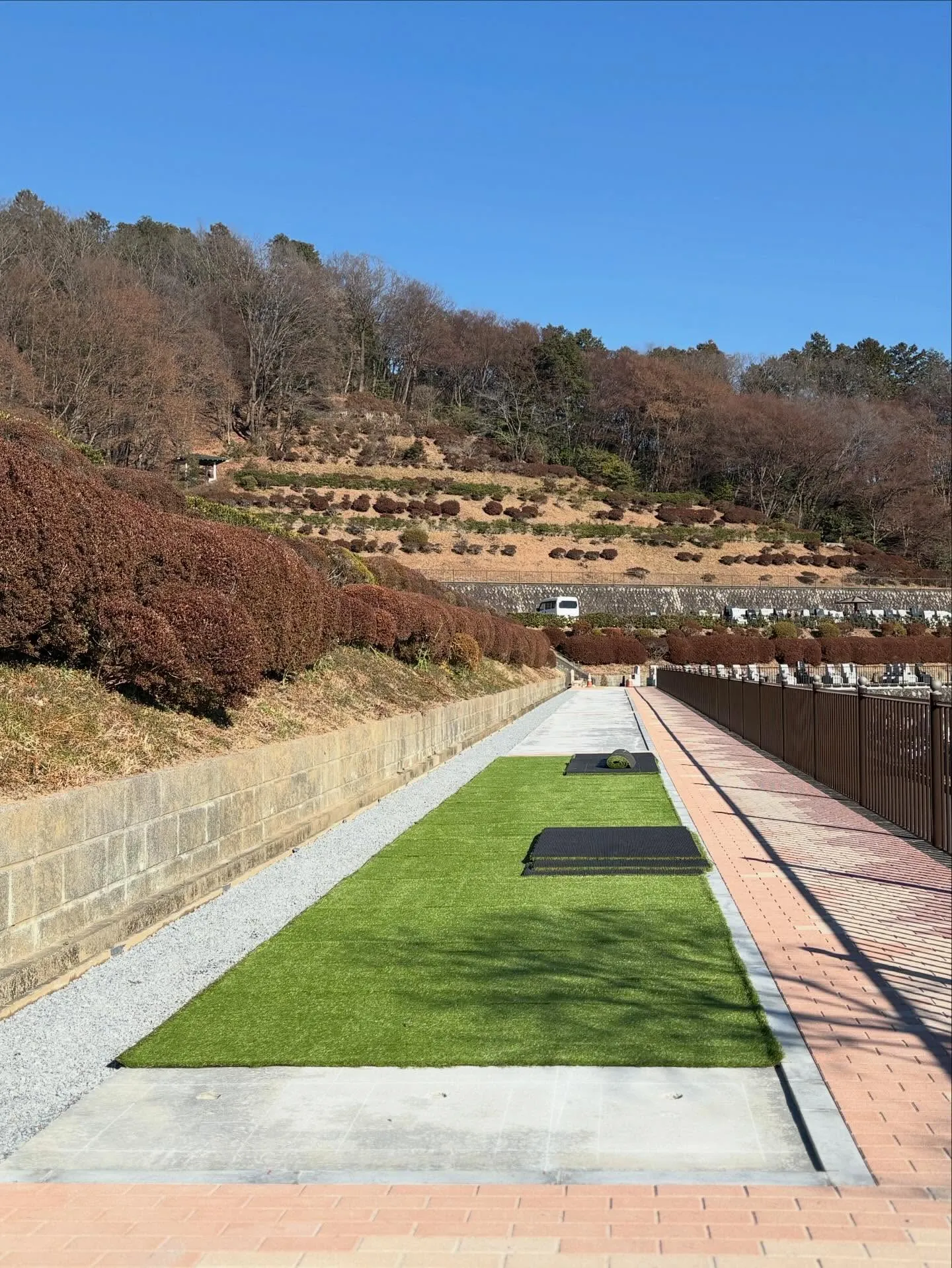 🎍✨ 新年あけましておめでとうございます ✨🎍
