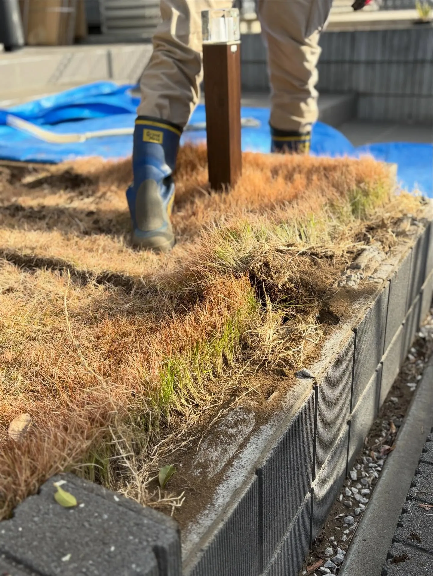 🏠【埼玉県飯能市 人工芝施工】🌱