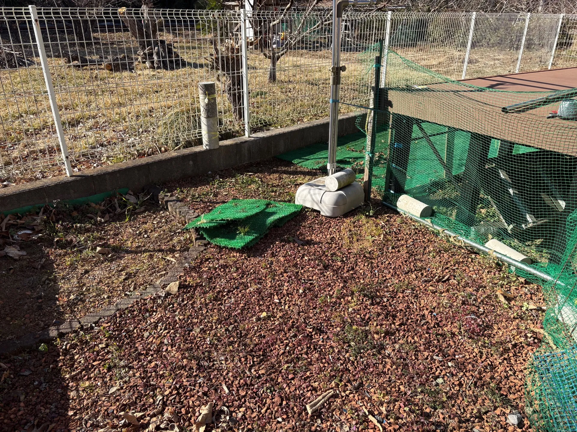 元のお庭の状態