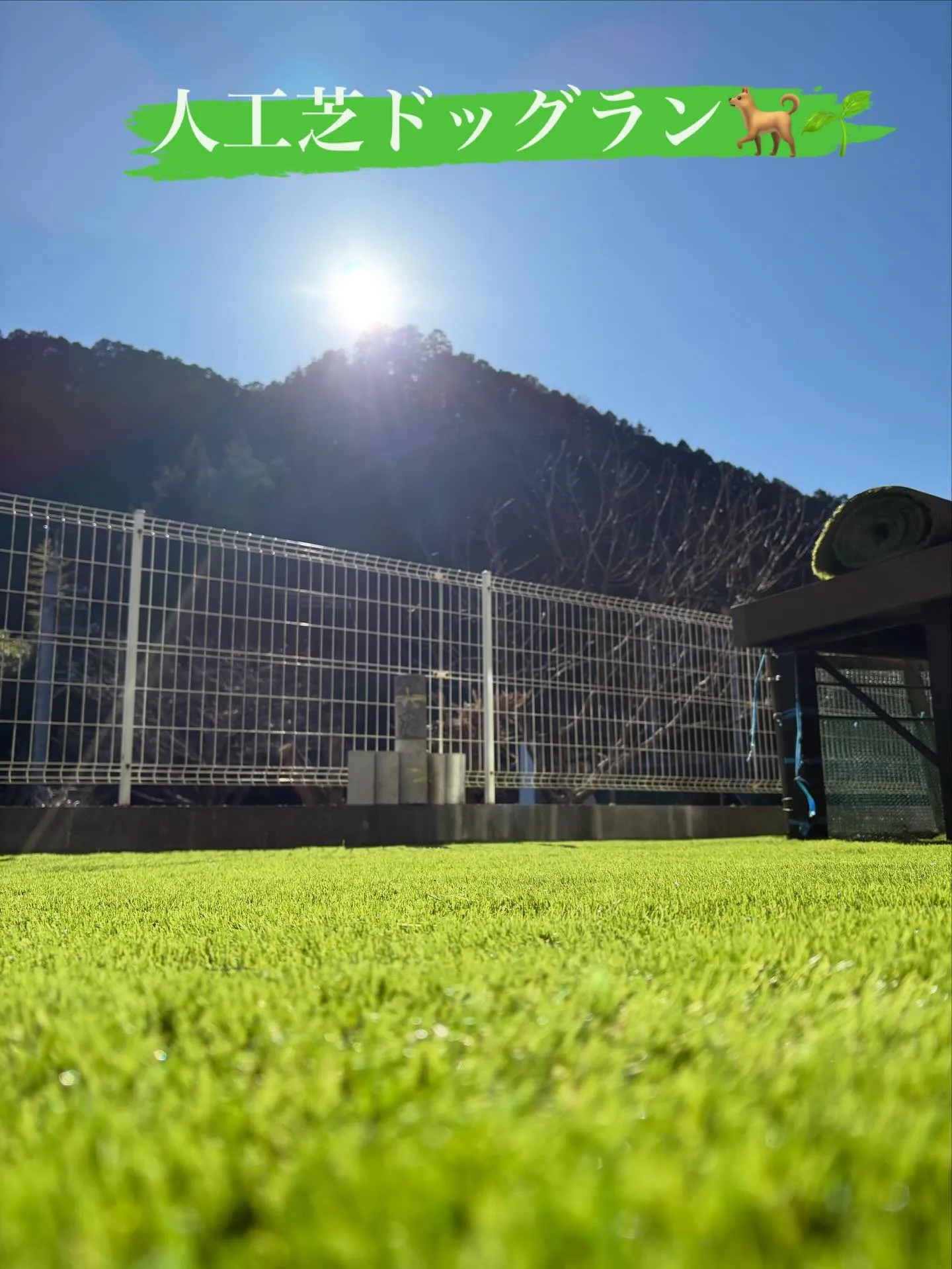 【DIY庭が…本気ドッグランに進化‼️】🐕🌱