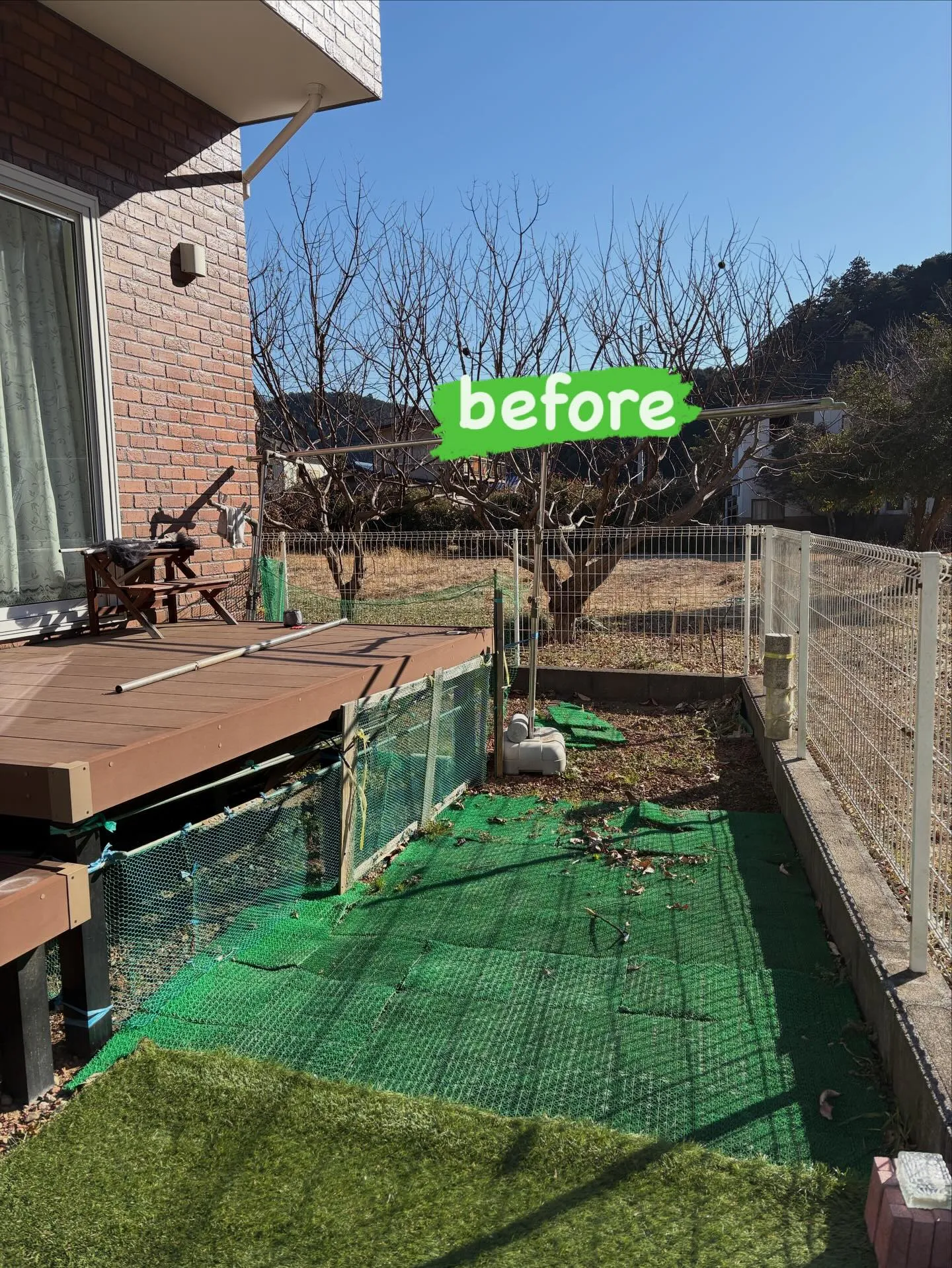 【DIY庭が…本気ドッグランに進化‼️】🐕🌱