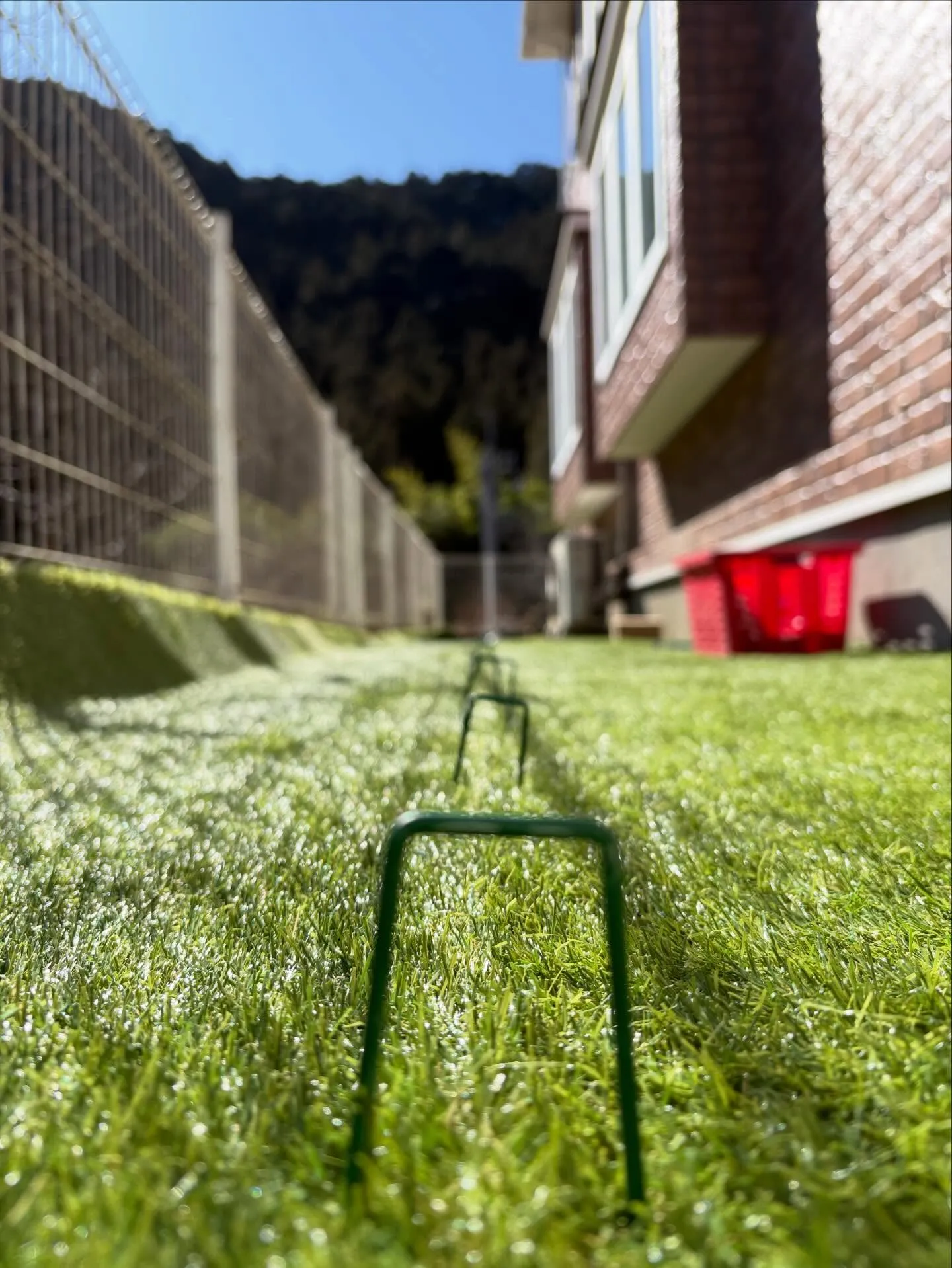 【DIY庭が…本気ドッグランに進化‼️】🐕🌱