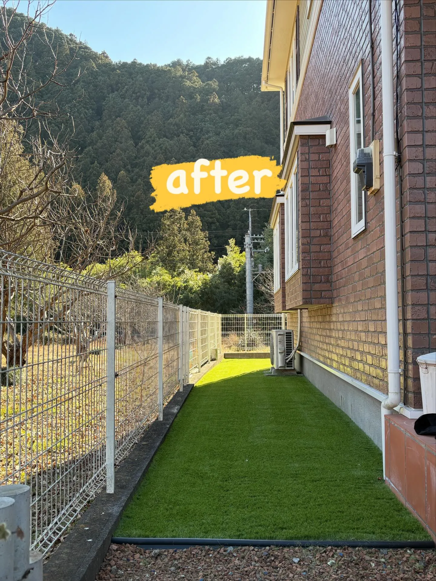 【DIY庭が…本気ドッグランに進化‼️】🐕🌱