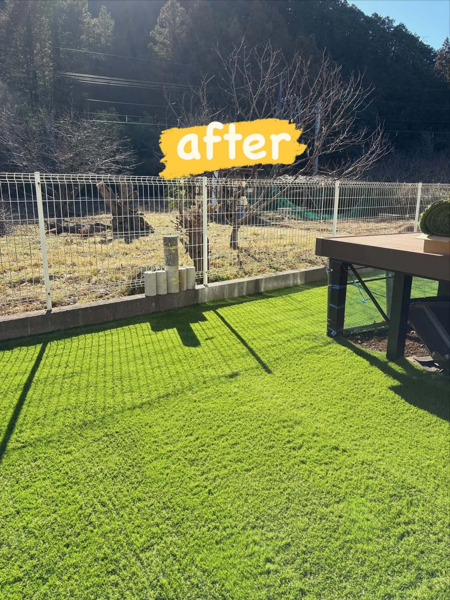 【DIY庭が…本気ドッグランに進化‼️】🐕🌱