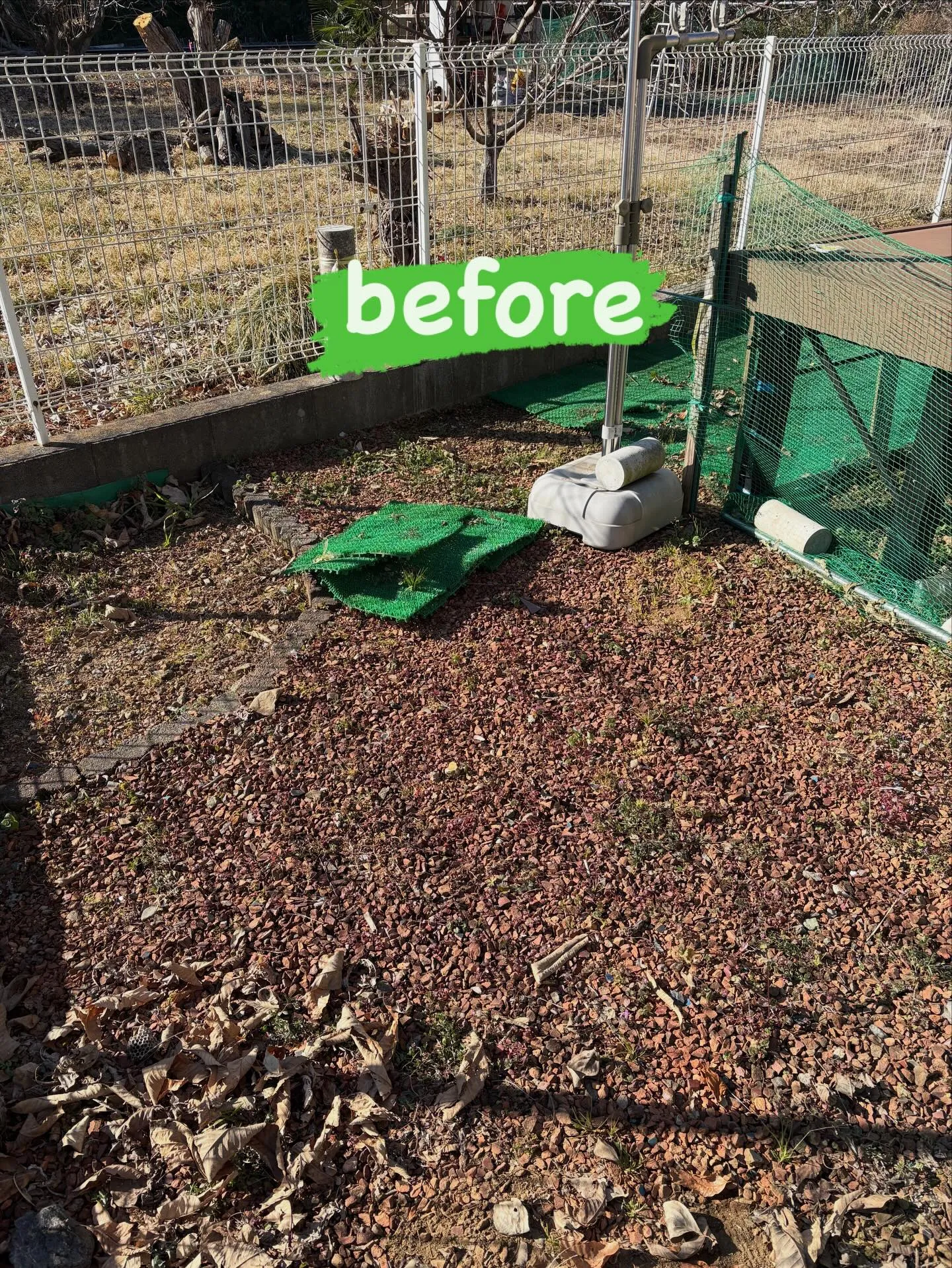 【DIY庭が…本気ドッグランに進化‼️】🐕🌱