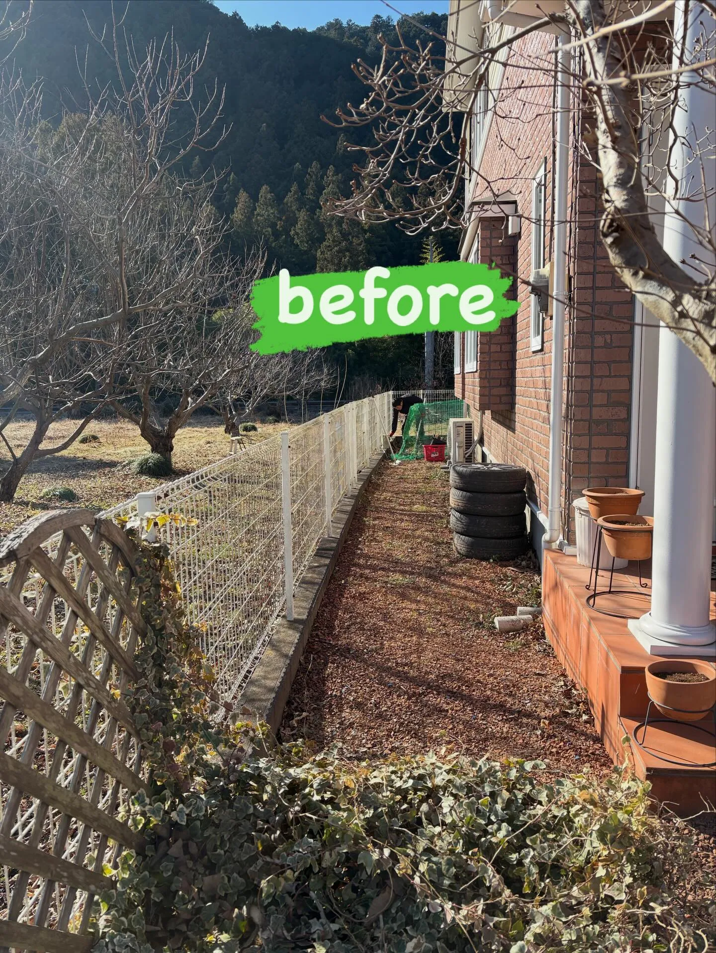 【DIY庭が…本気ドッグランに進化‼️】🐕🌱