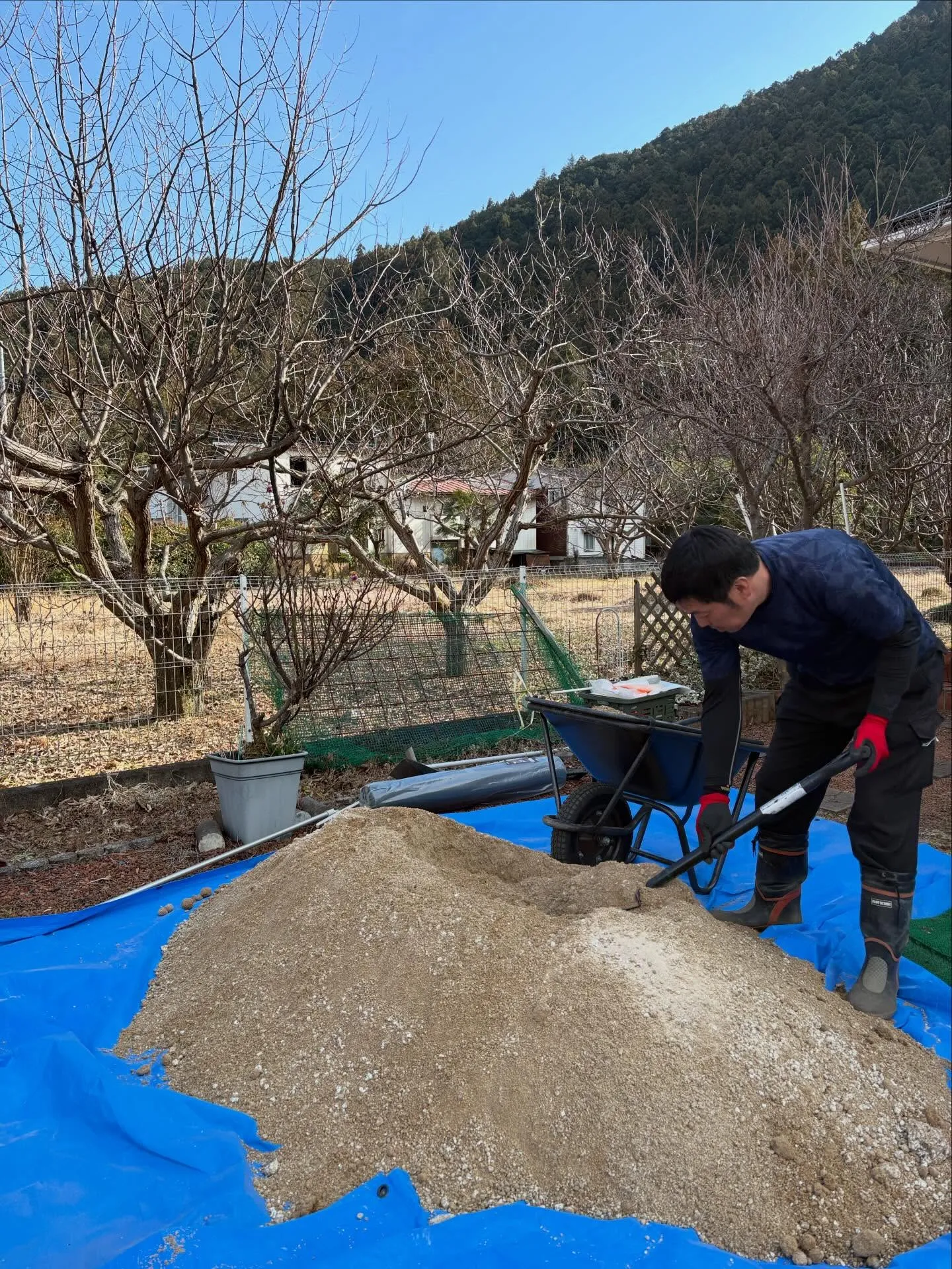 【DIY庭が…本気ドッグランに進化‼️】🐕🌱