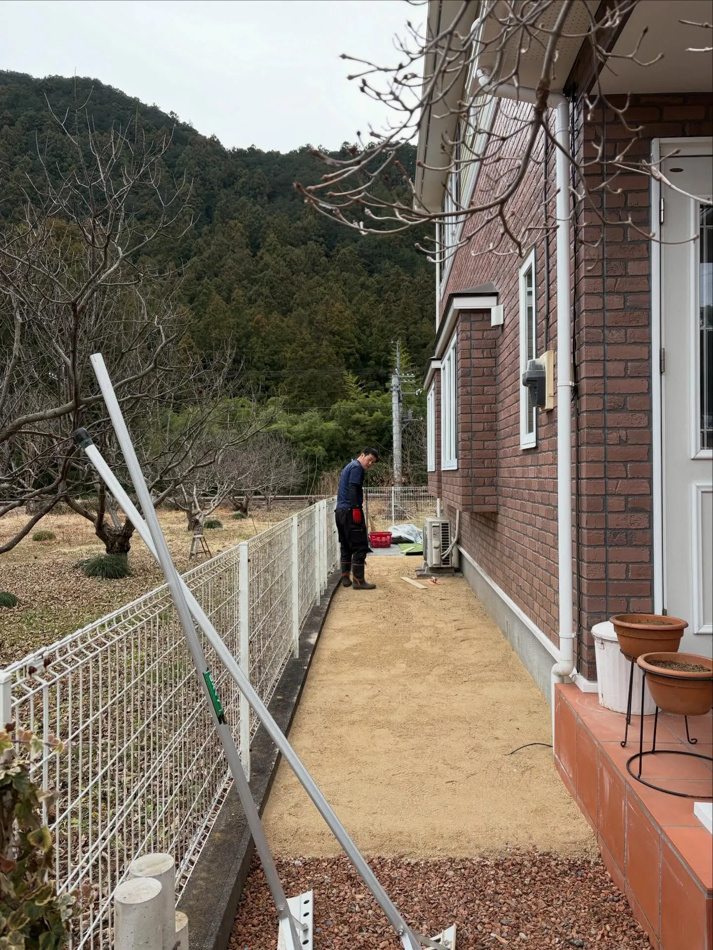 【DIY庭が…本気ドッグランに進化‼️】🐕🌱