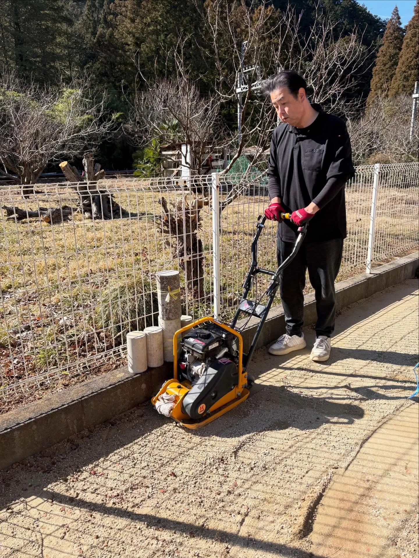 【DIY庭が…本気ドッグランに進化‼️】🐕🌱