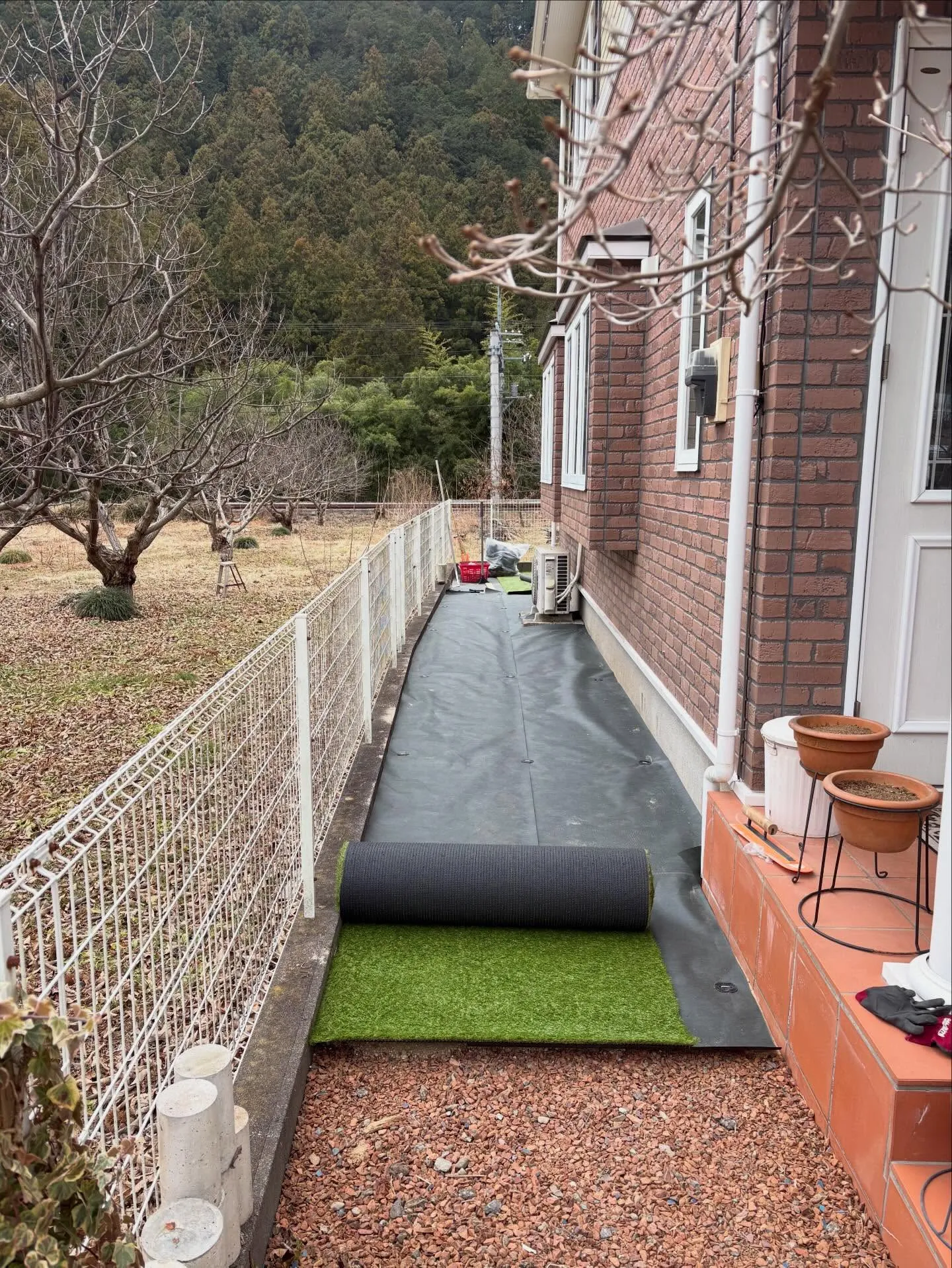 【DIY庭が…本気ドッグランに進化‼️】🐕🌱