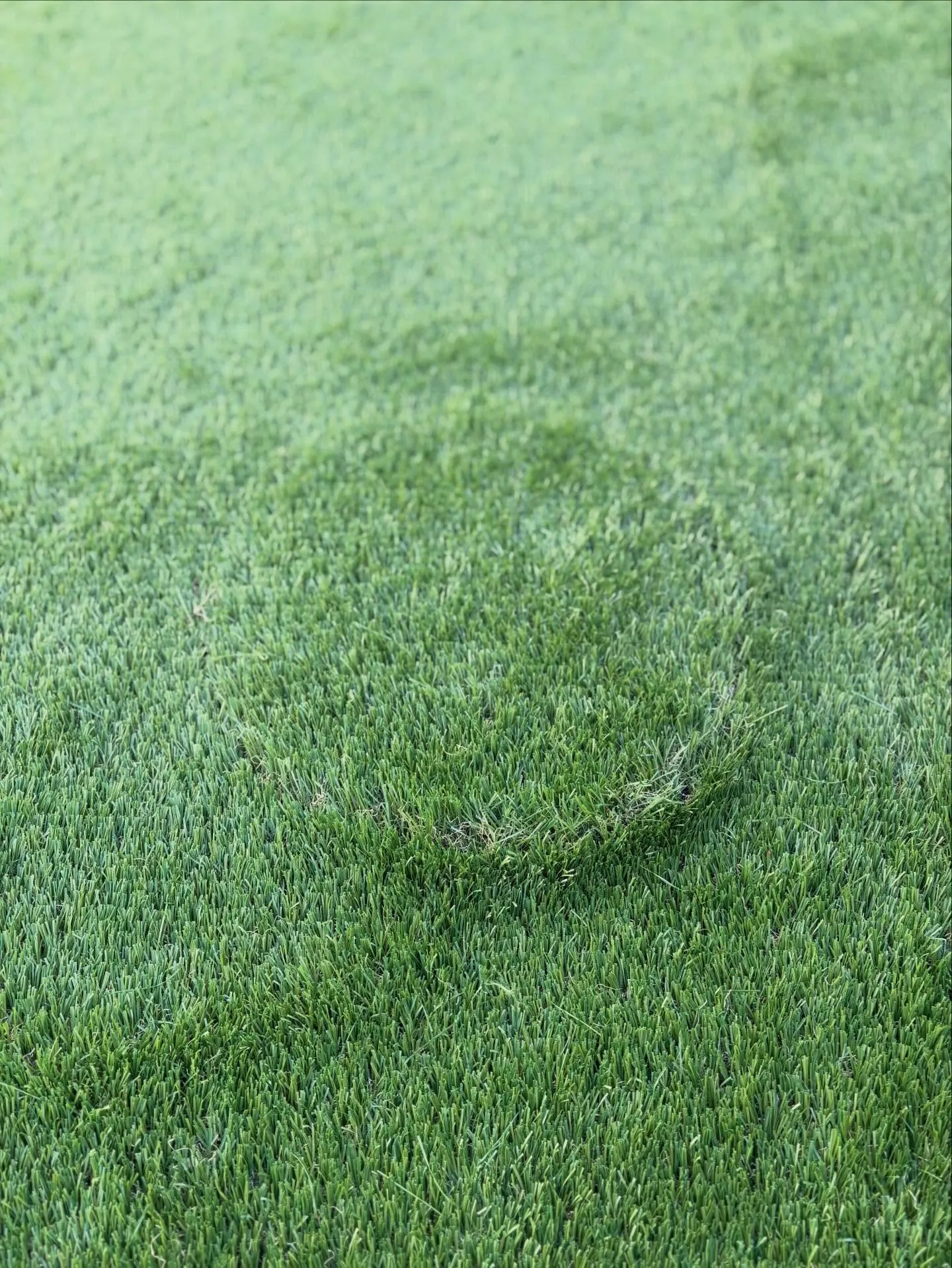 🌱✨【天然芝→人工芝で“人生変わる庭”に!】✨🌱