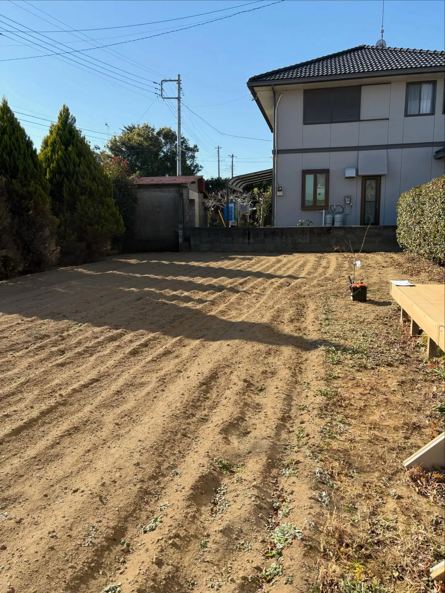 🌱【畑だった庭が…まさかのドッグランに⁉】🌱🏃♂️🐶