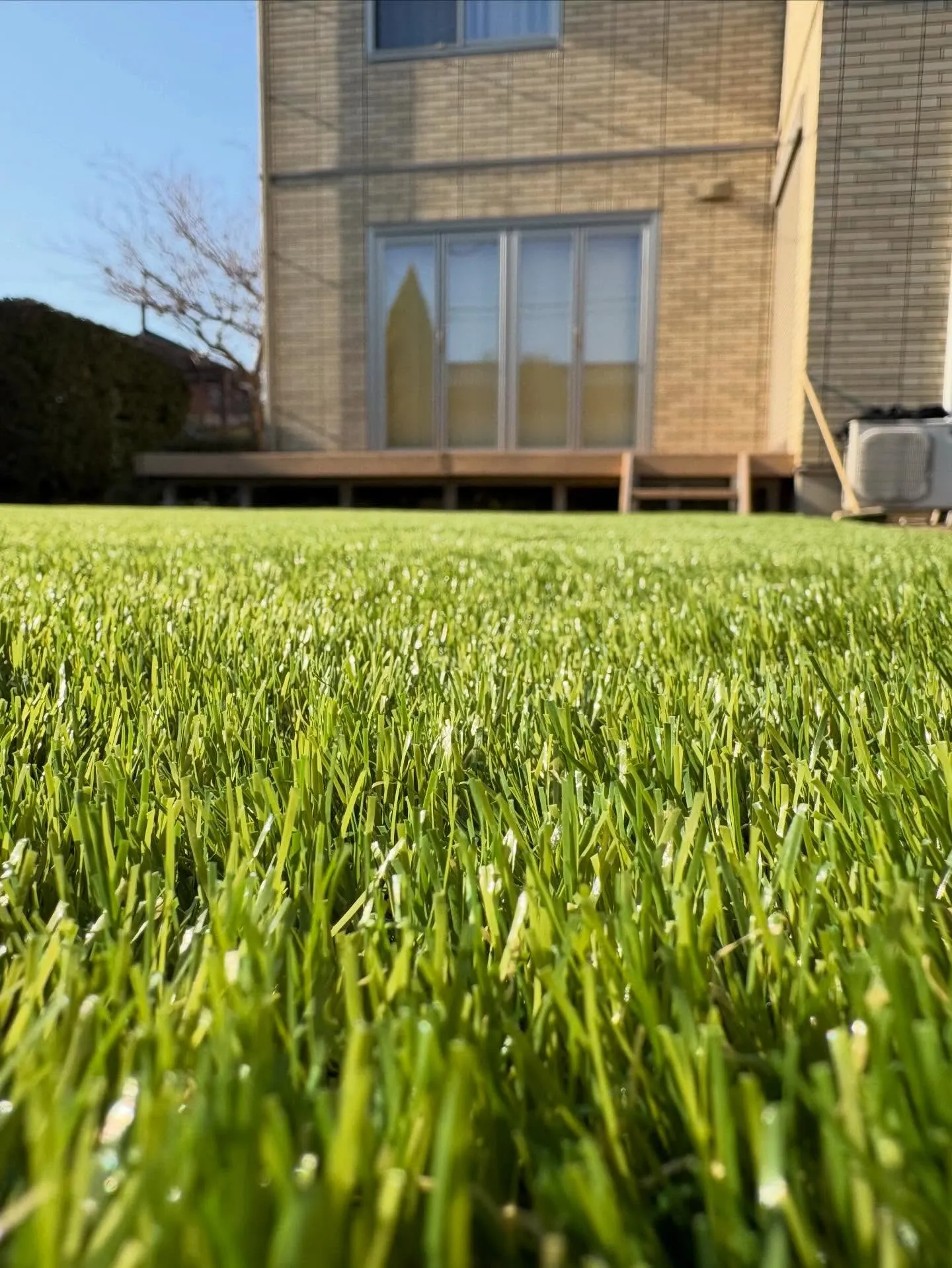 🌱【畑だった庭が…まさかのドッグランに⁉】🌱🏃♂️🐶
